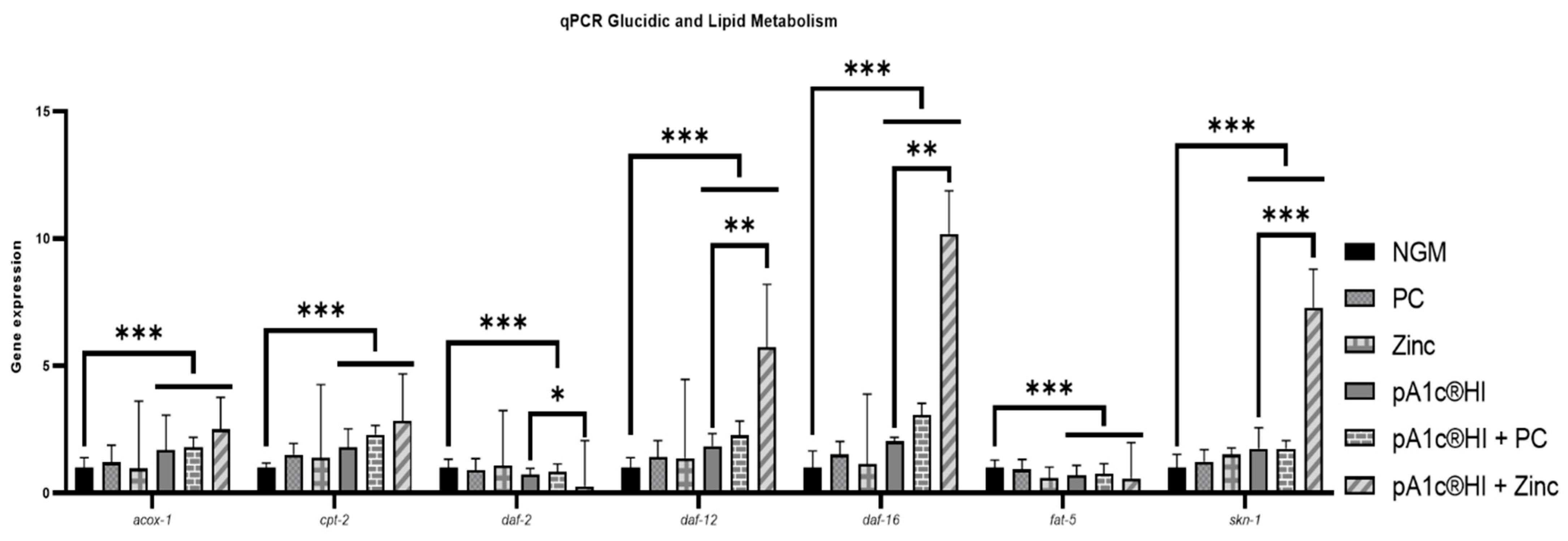 Ijms 26 08094 g009 Ijms 26 08094 g009