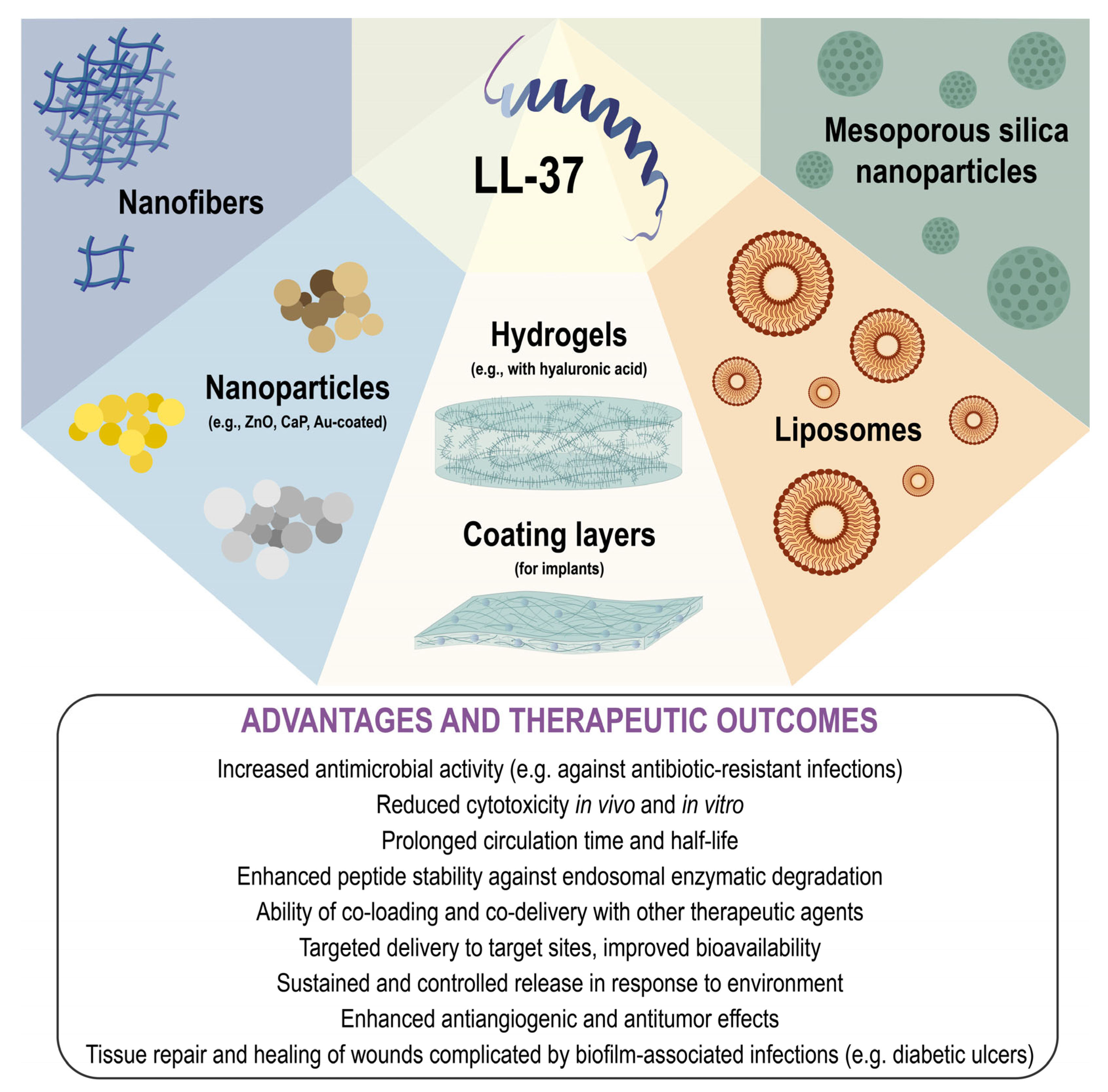 Ijms 26 08103 g003 Ijms 26 08103 g003