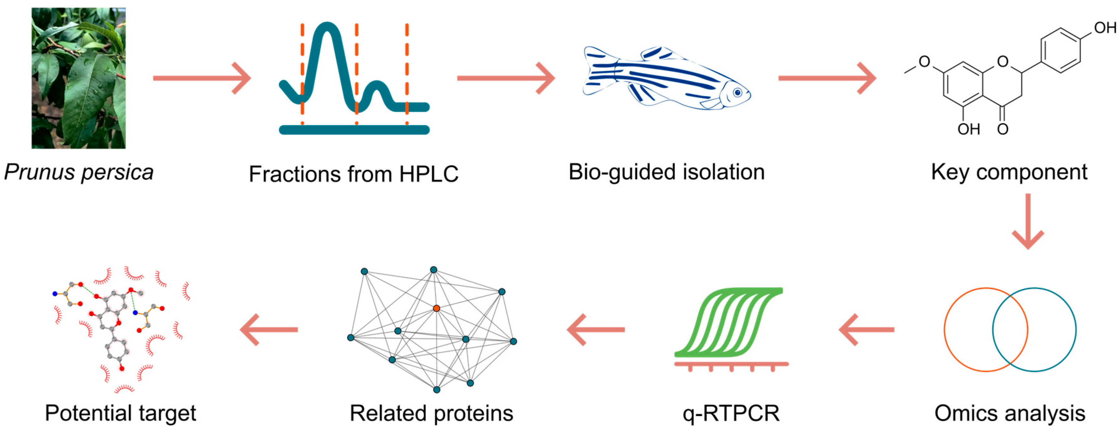 Ijms 26 08112 g001 Ijms 26 08112 g001