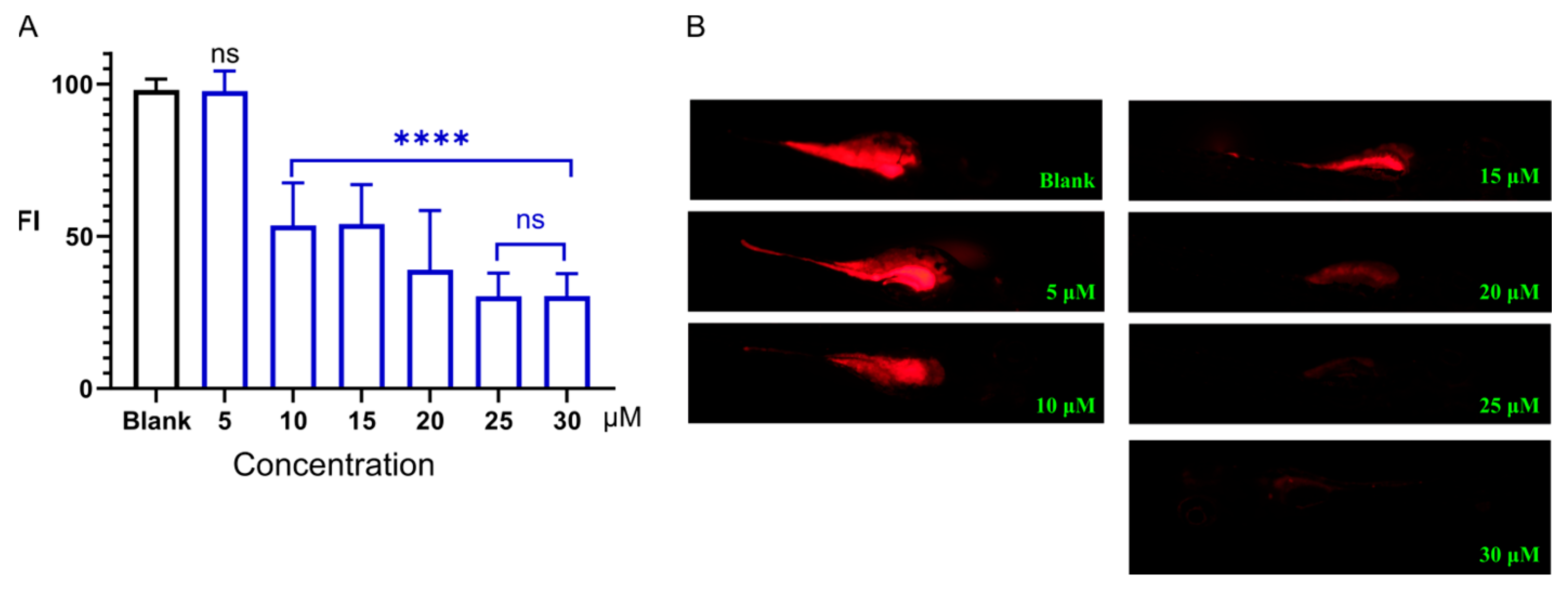 Ijms 26 08112 g003 Ijms 26 08112 g003