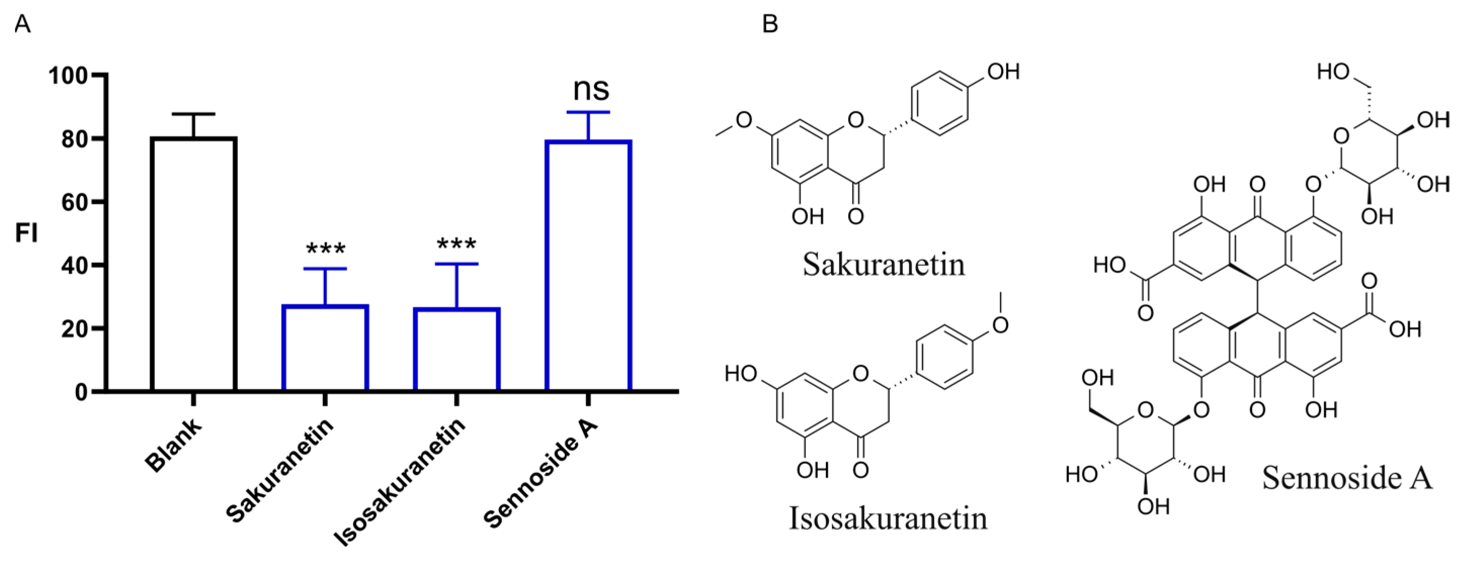 Ijms 26 08112 g004 Ijms 26 08112 g004