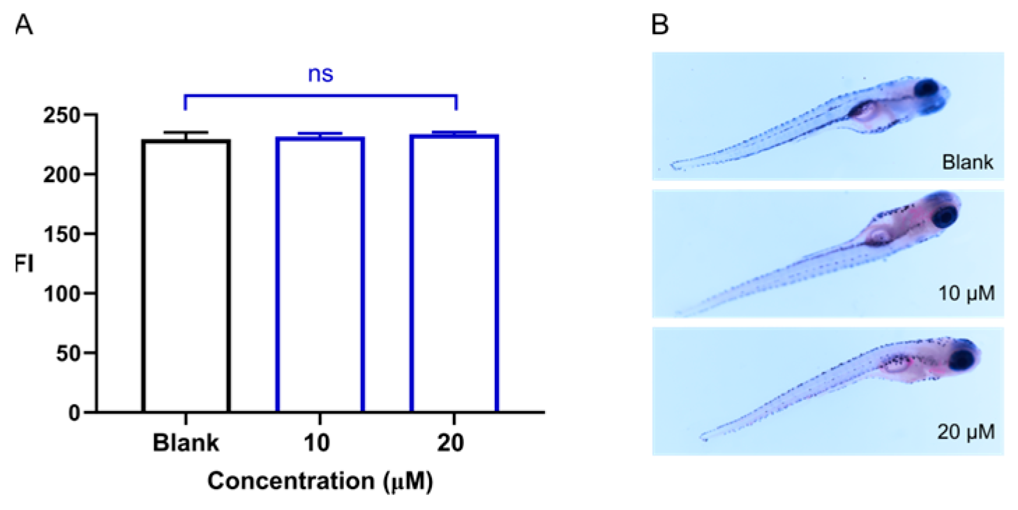 Ijms 26 08112 g005 Ijms 26 08112 g005
