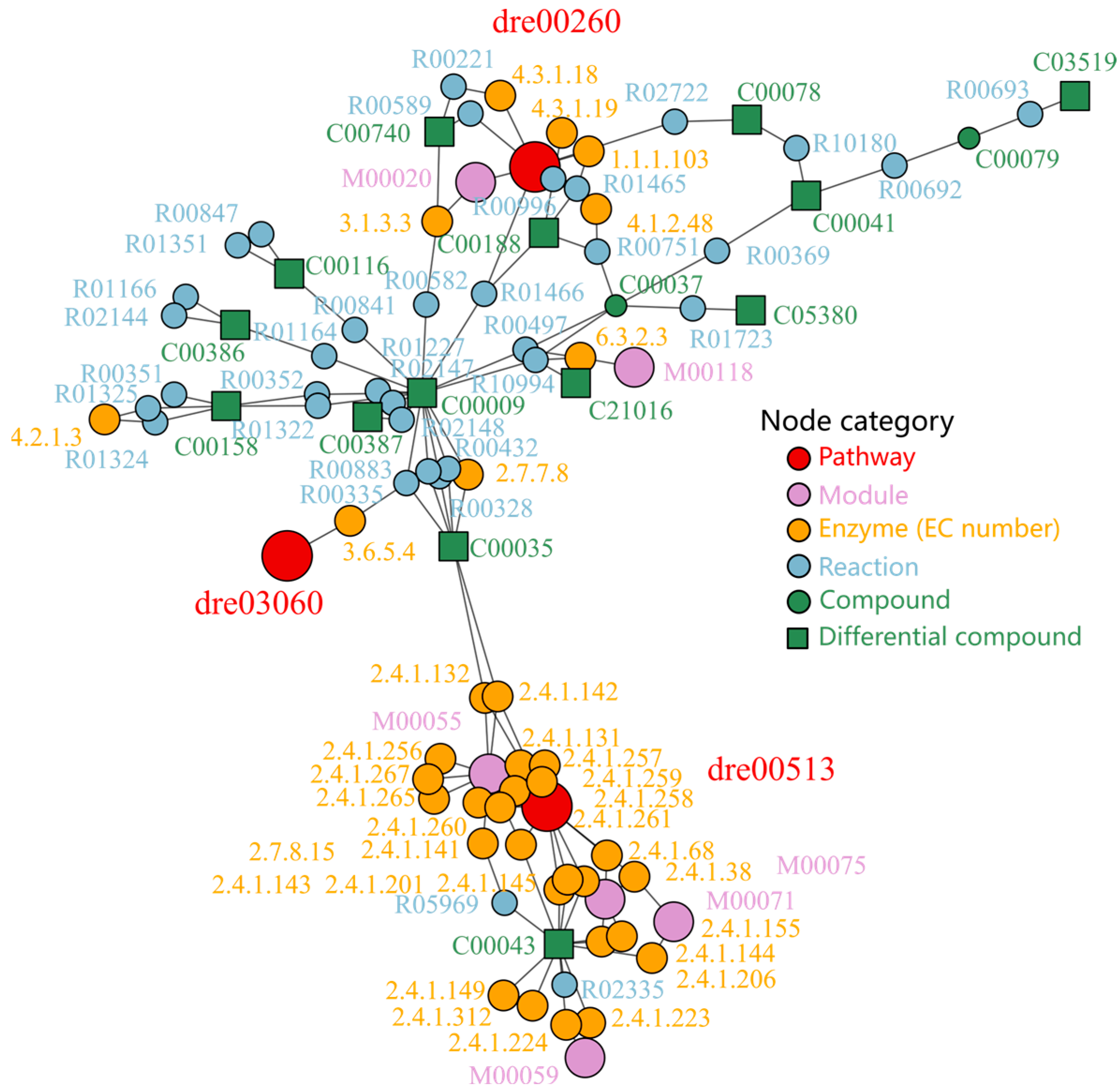 Ijms 26 08112 g007 Ijms 26 08112 g007