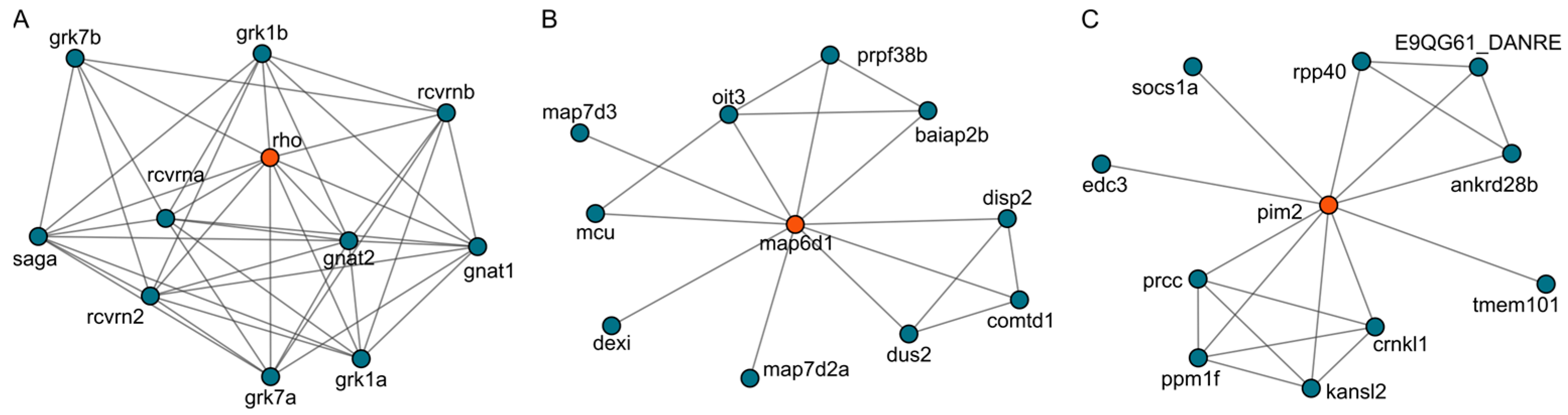 Ijms 26 08112 g010 Ijms 26 08112 g010