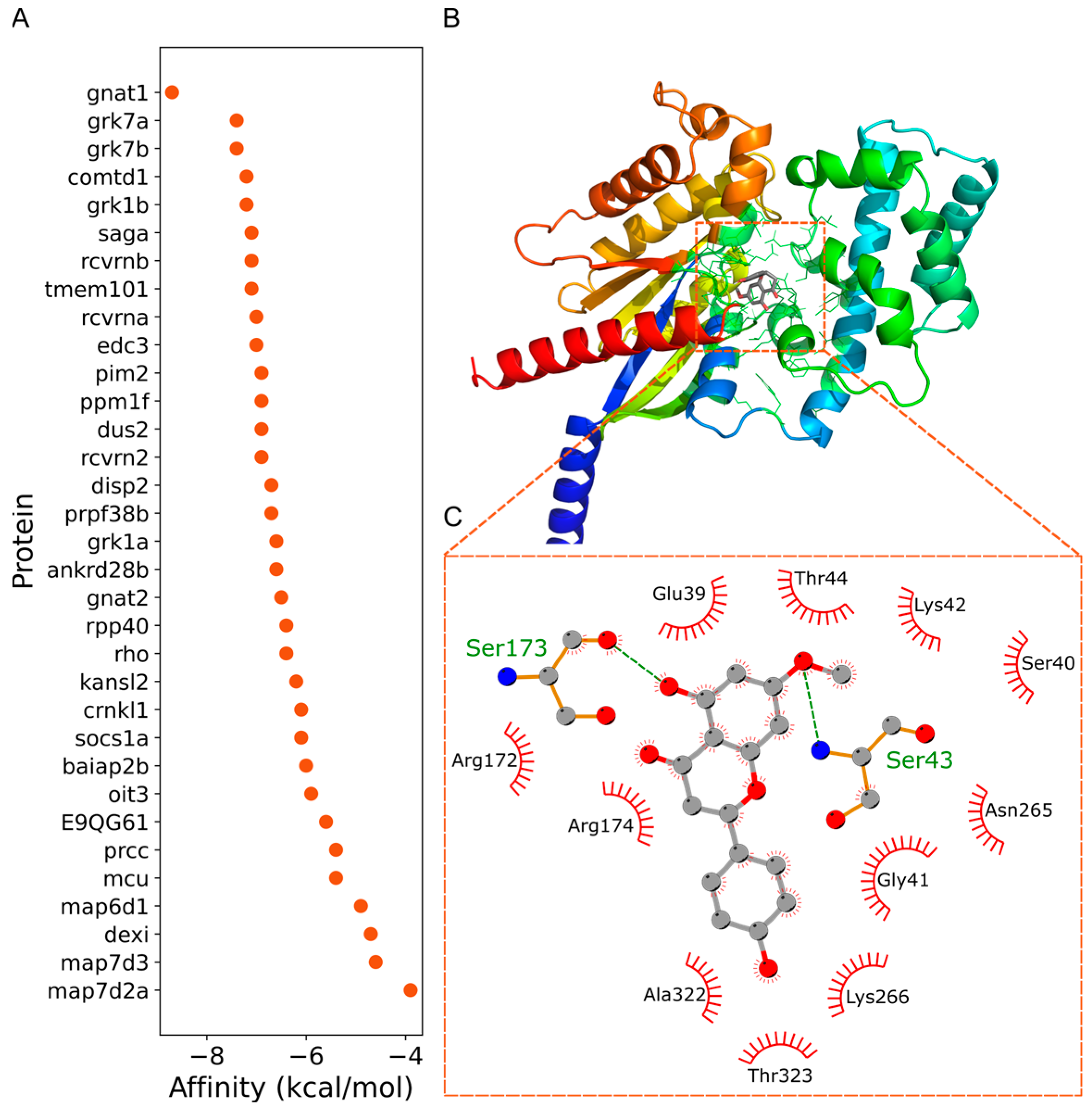 Ijms 26 08112 g011 Ijms 26 08112 g011