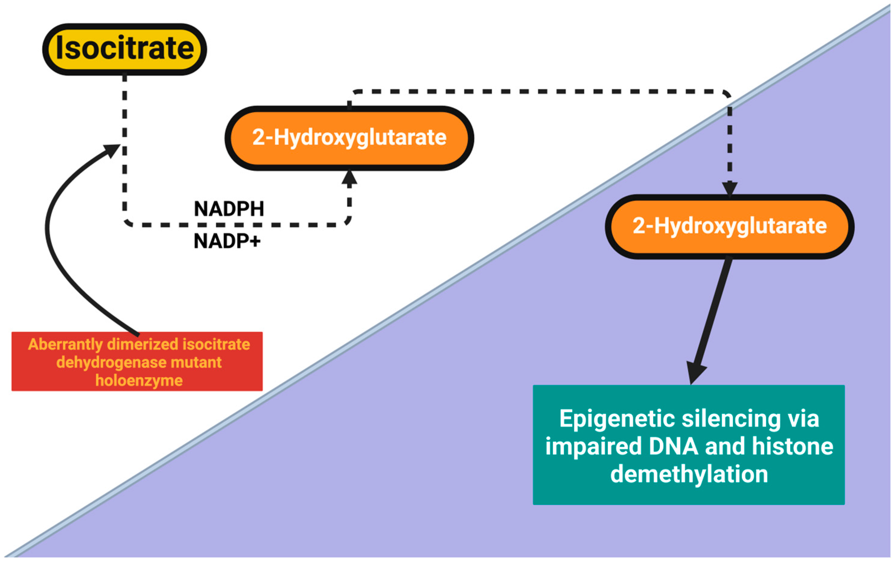 Ijms 26 08114 g002 Ijms 26 08114 g002