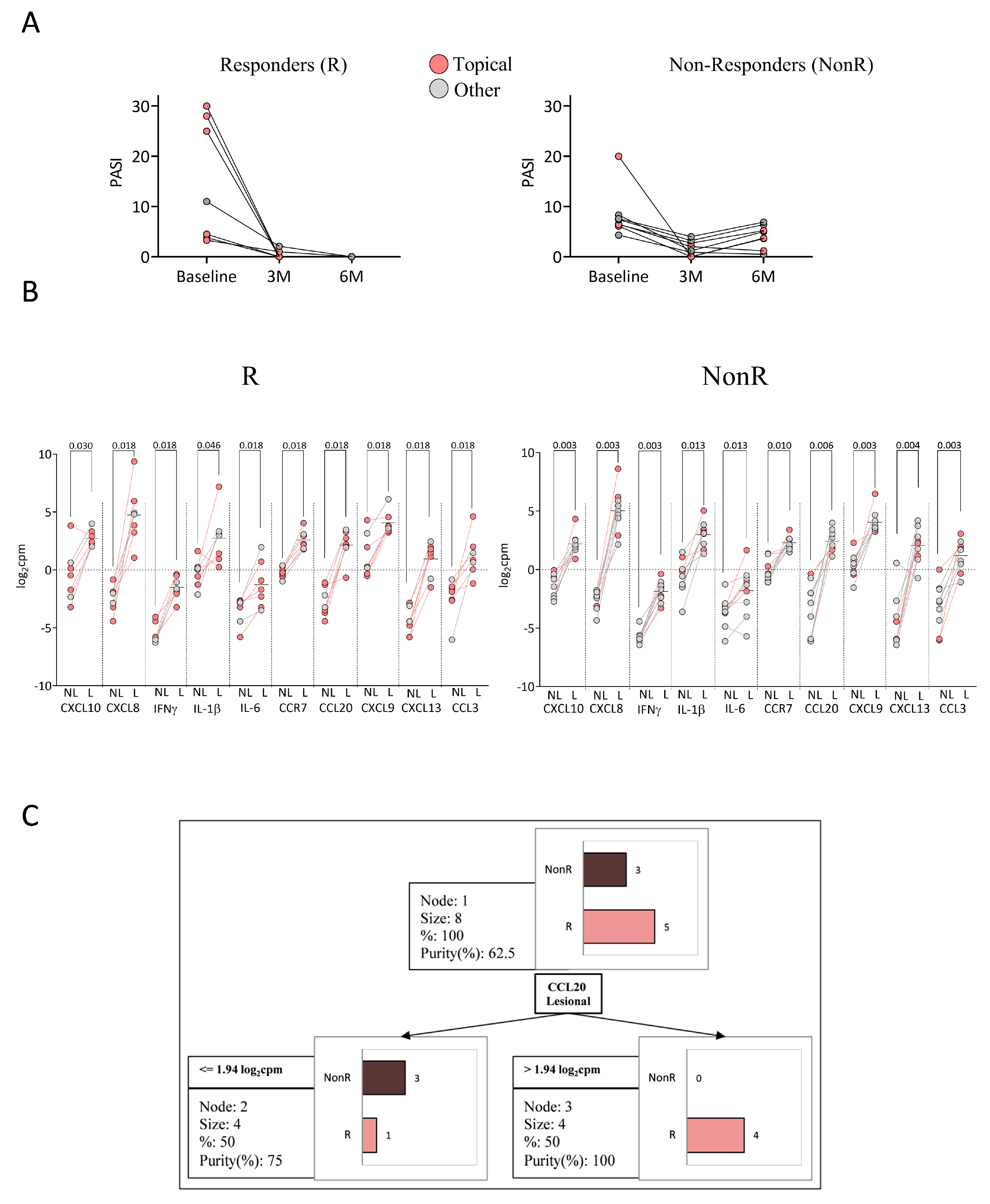 Ijms 26 08118 g004 Ijms 26 08118 g004