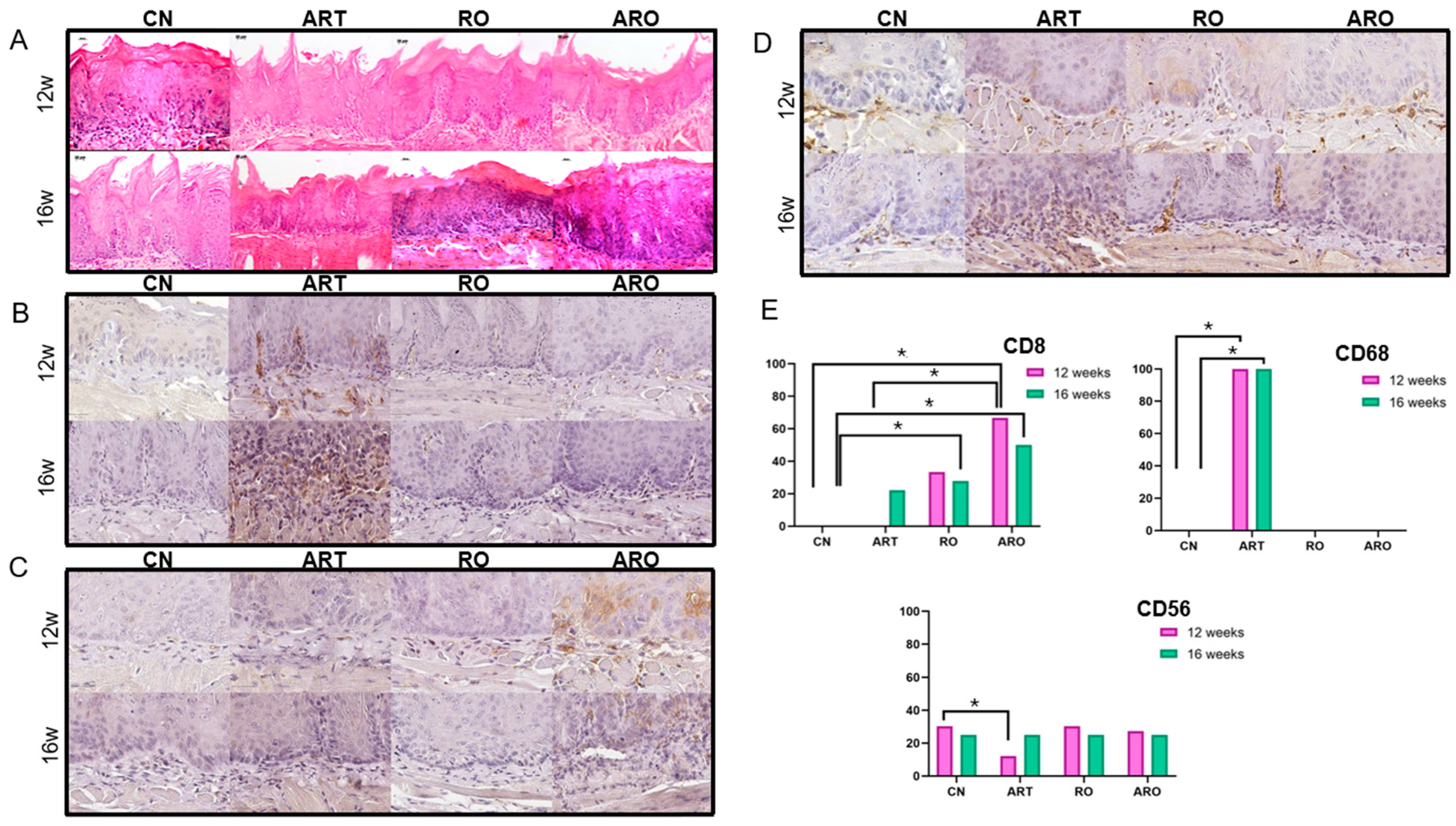 Ijms 26 08120 g002 Ijms 26 08120 g002
