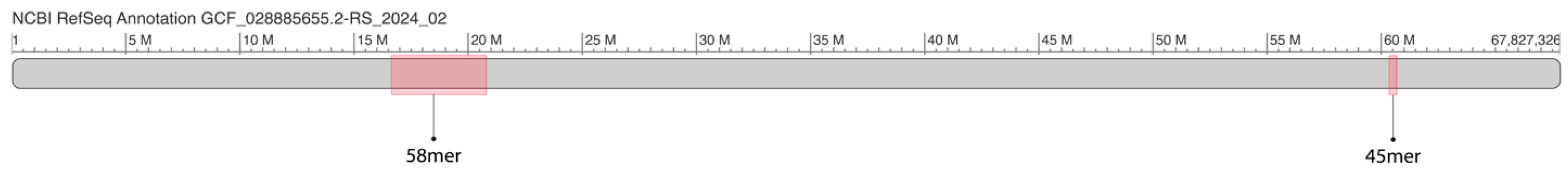 Ijms 26 08122 g002 Ijms 26 08122 g002