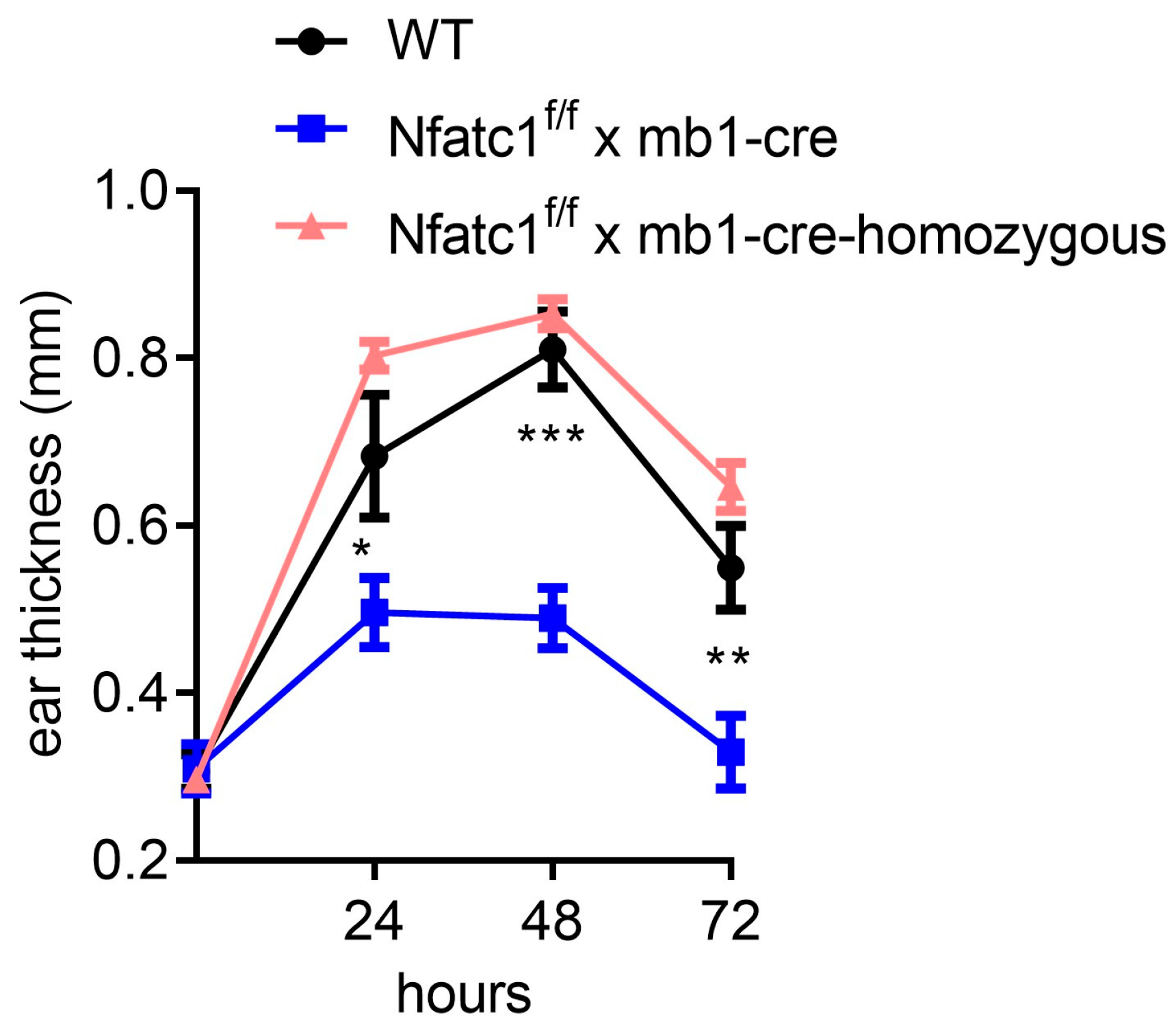 Ijms 26 08125 g001 Ijms 26 08125 g001