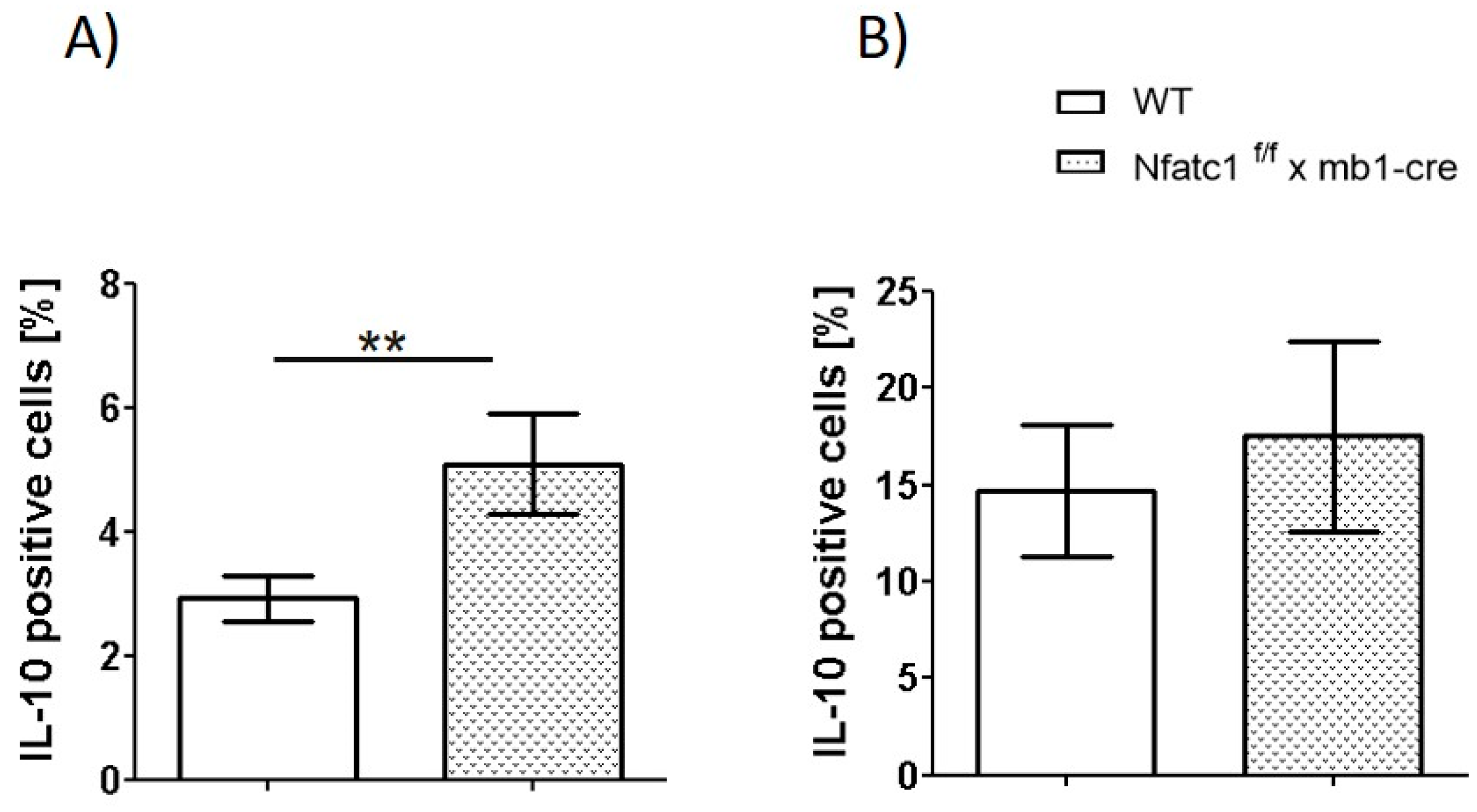 Ijms 26 08125 g004 Ijms 26 08125 g004