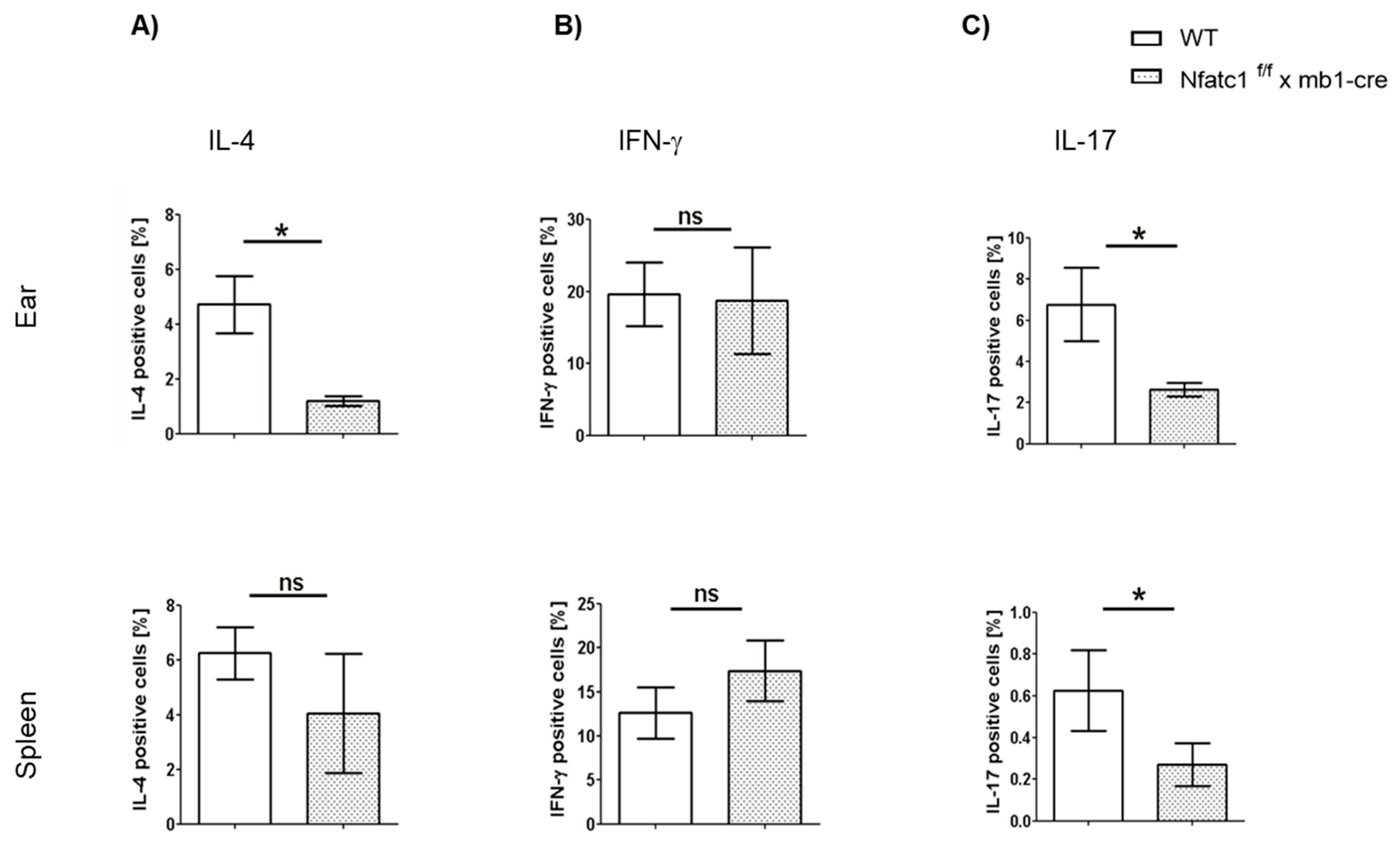 Ijms 26 08125 g005 Ijms 26 08125 g005
