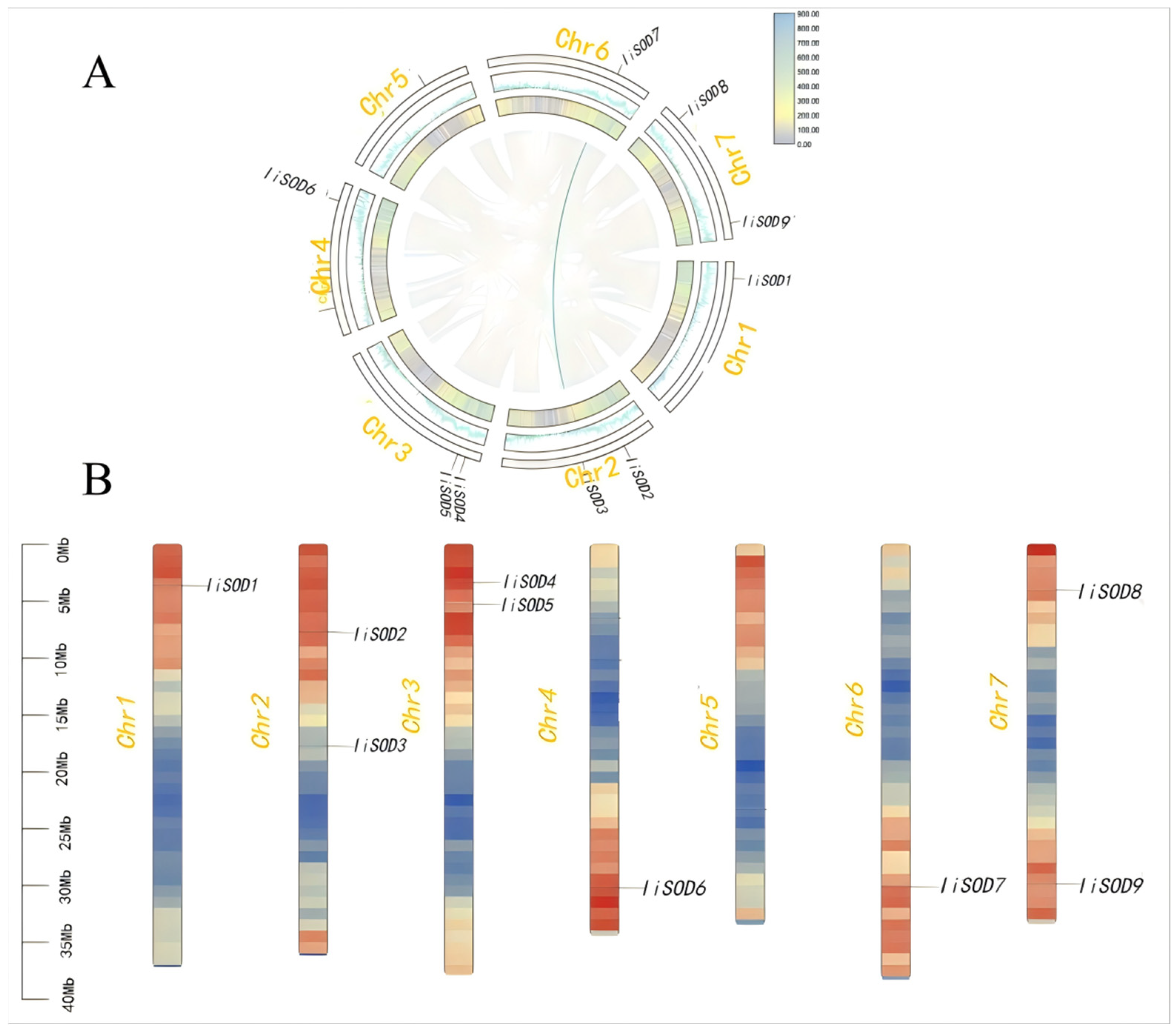Ijms 26 08131 g002 Ijms 26 08131 g002