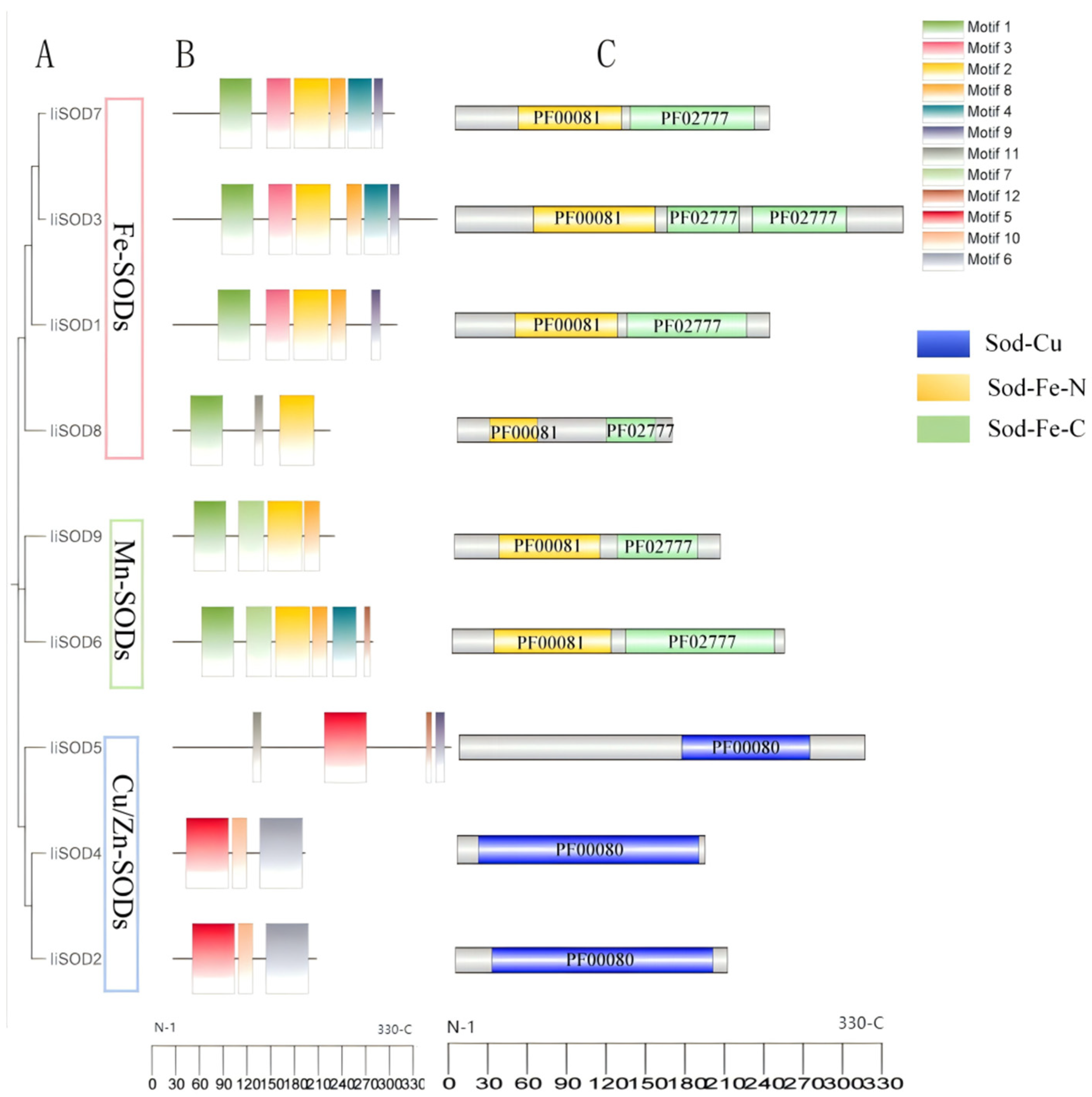 Ijms 26 08131 g003 Ijms 26 08131 g003