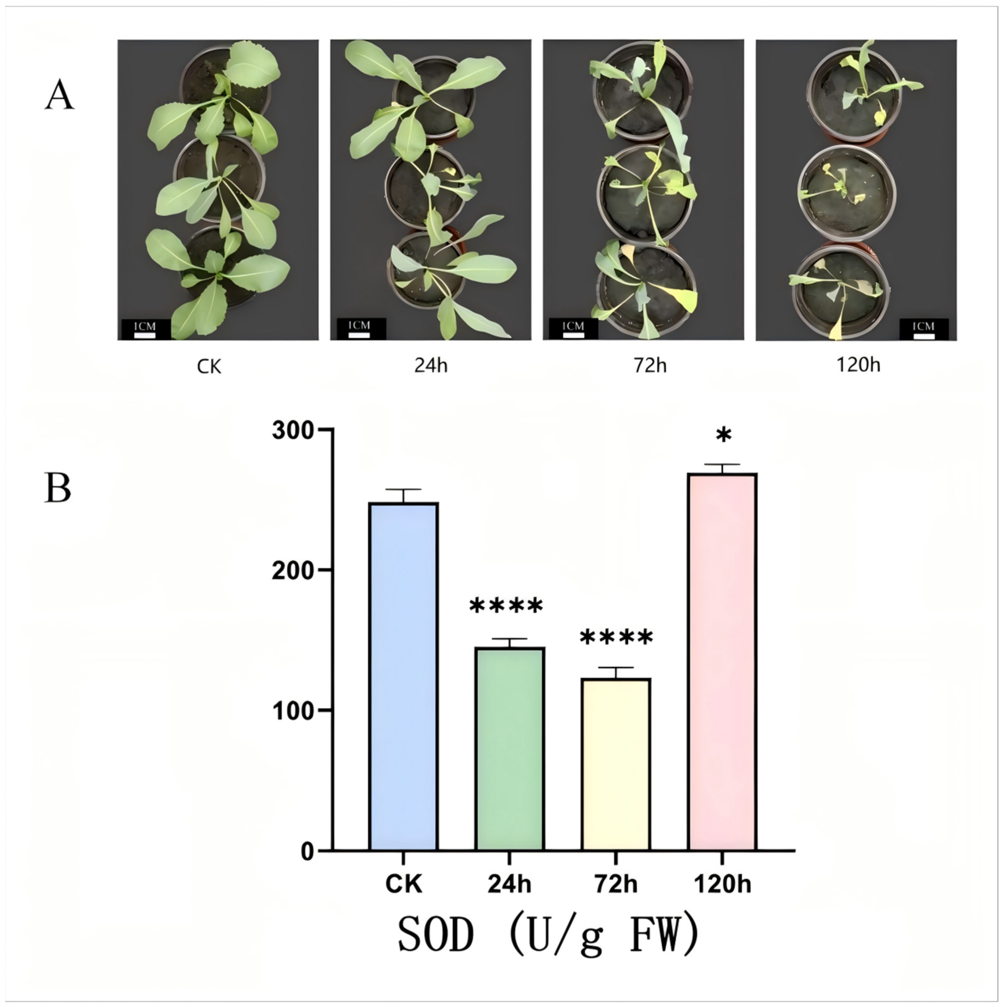 Ijms 26 08131 g006 Ijms 26 08131 g006