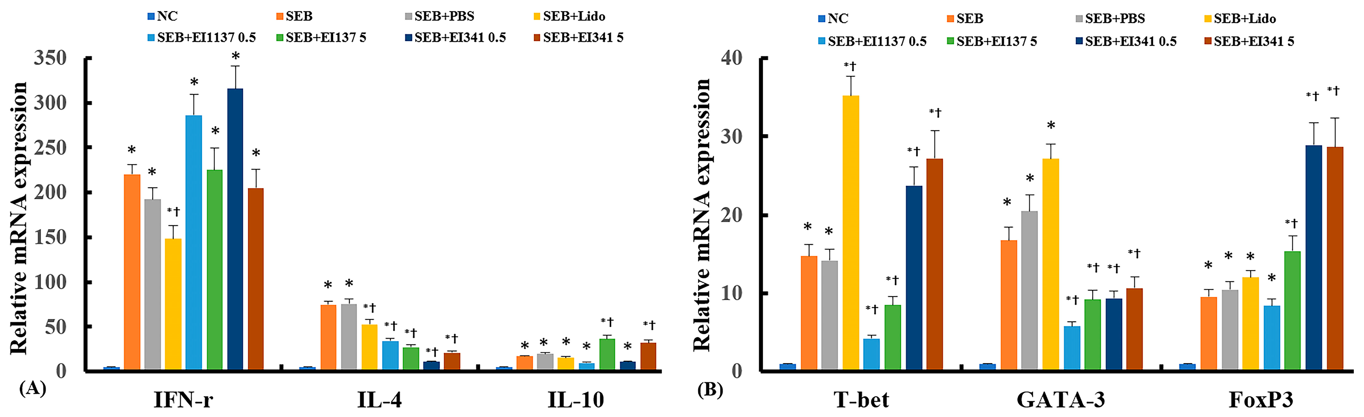 Ijms 26 08137 g003 Ijms 26 08137 g003
