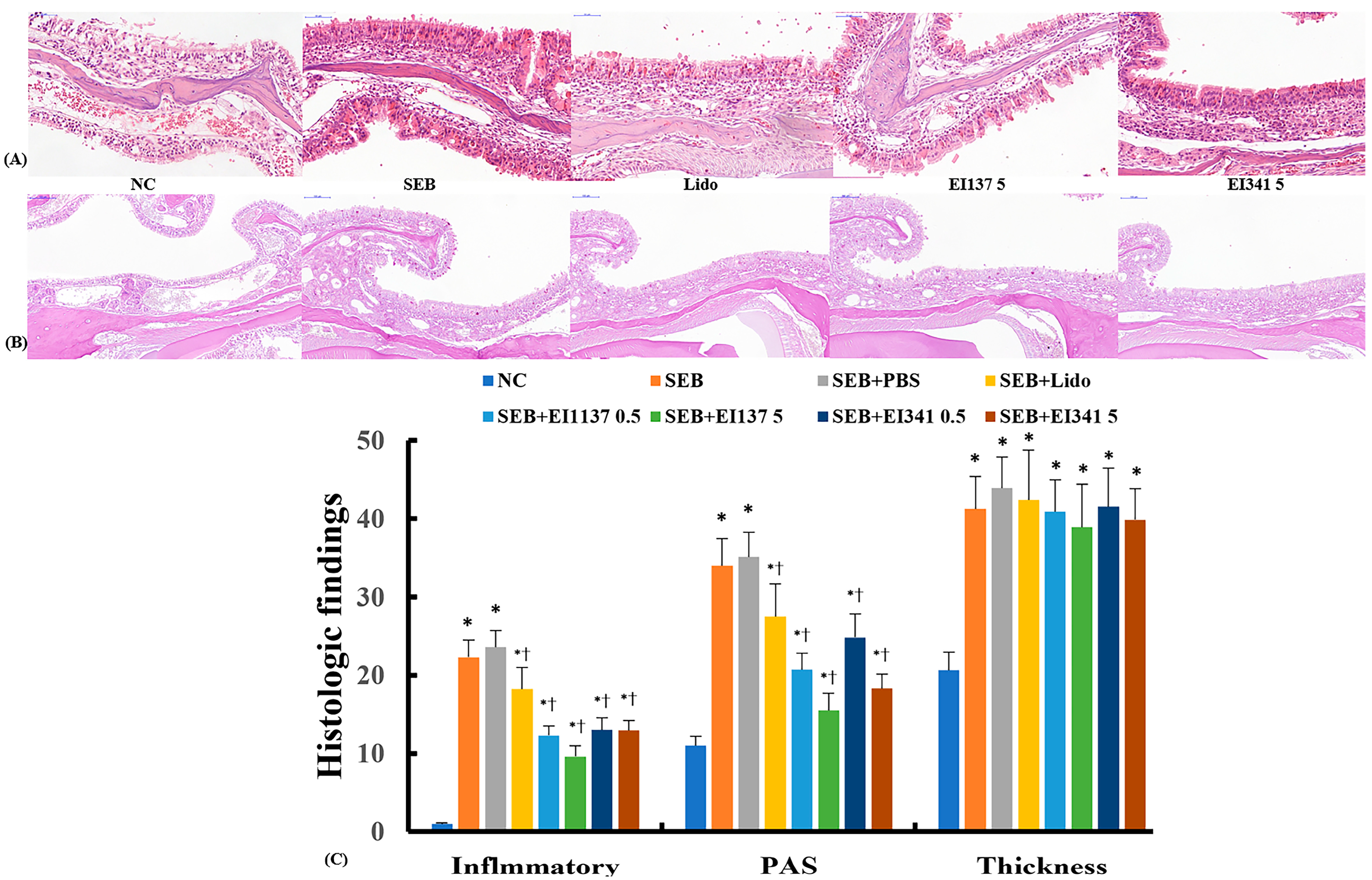 Ijms 26 08137 g005 Ijms 26 08137 g005