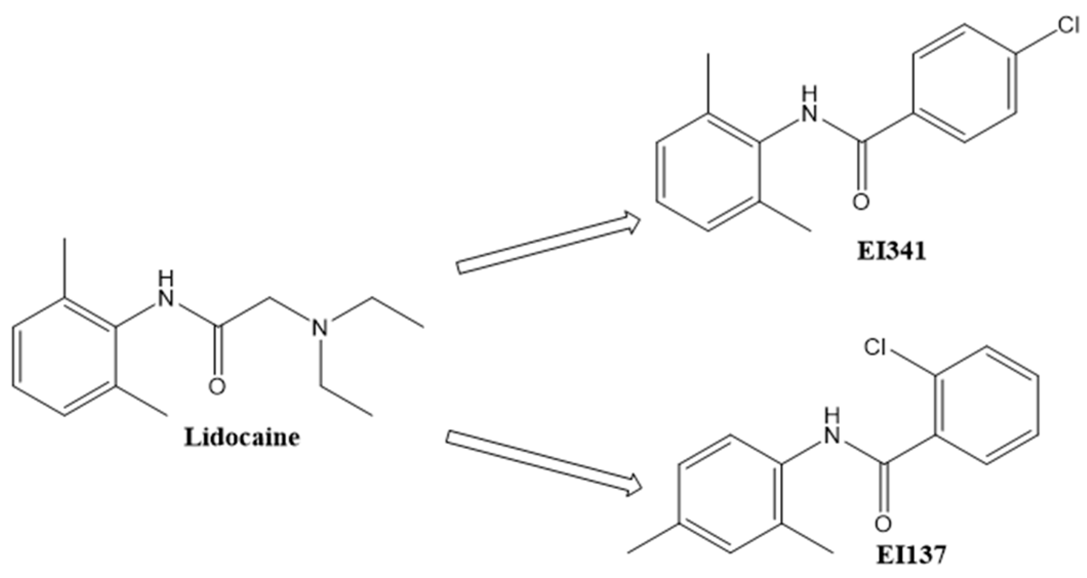 Ijms 26 08137 g006 Ijms 26 08137 g006