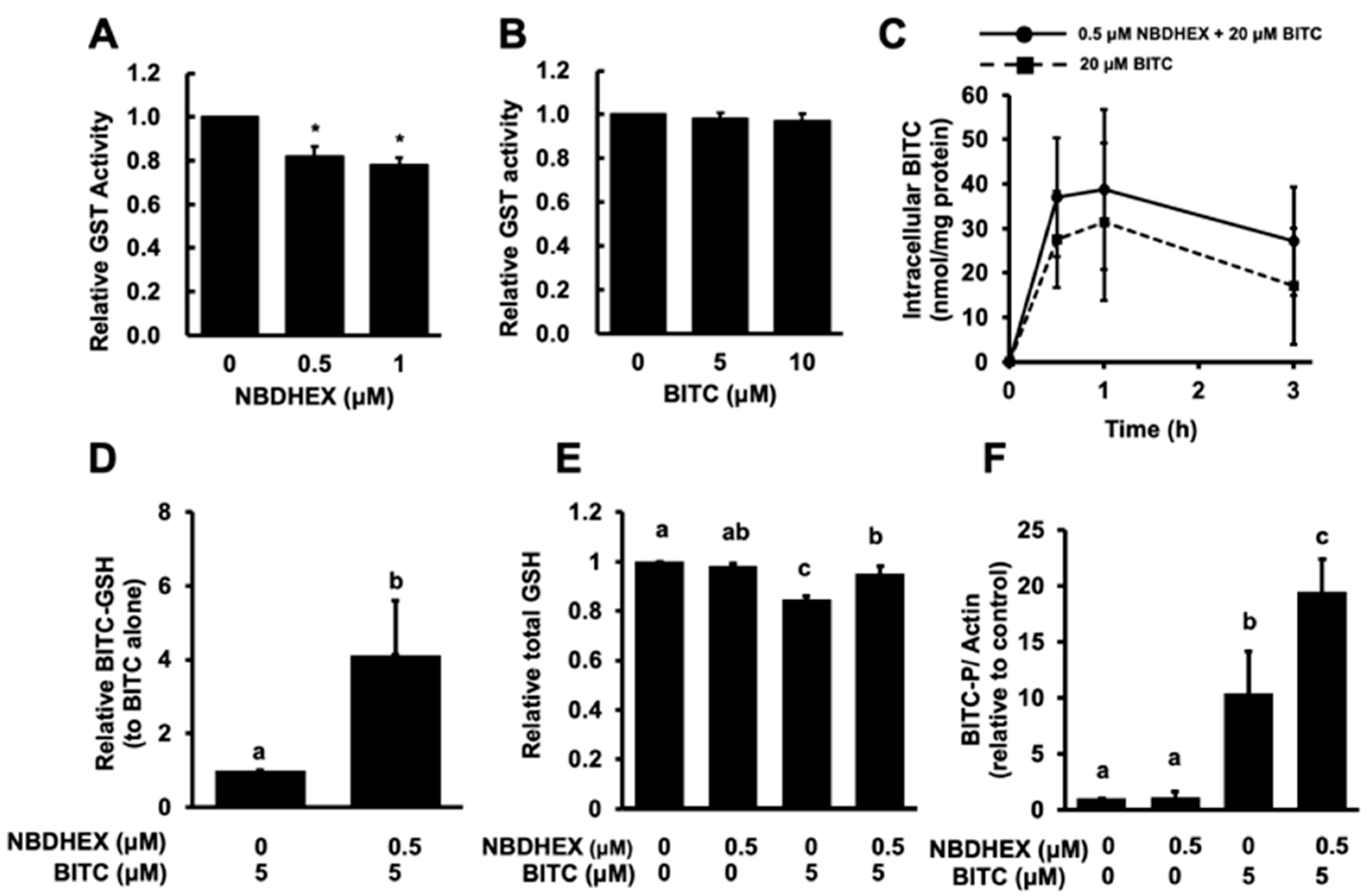 Ijms 26 08145 g002 Ijms 26 08145 g002