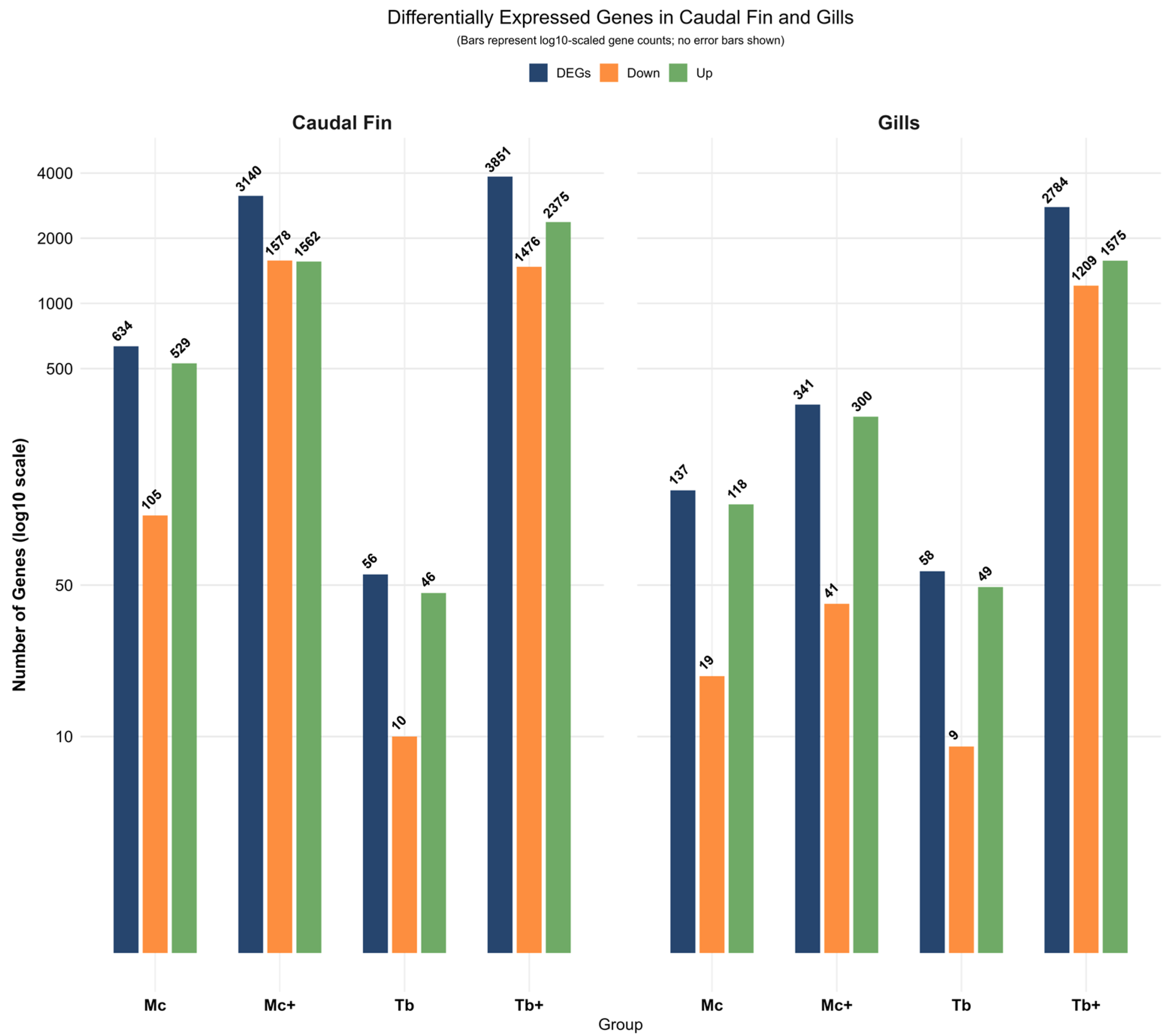 Ijms 26 08148 g001 Ijms 26 08148 g001
