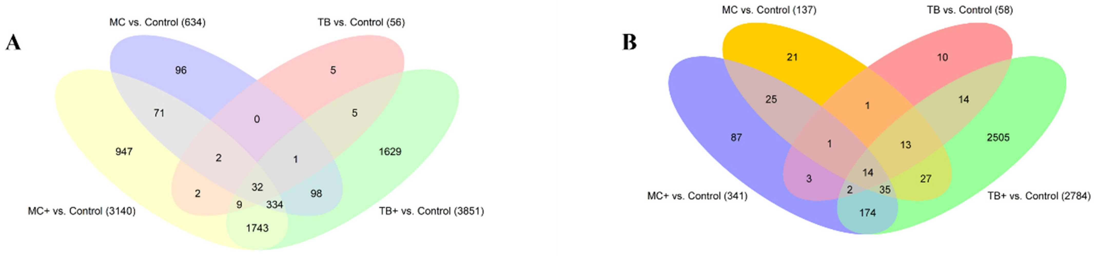 Ijms 26 08148 g003 Ijms 26 08148 g003