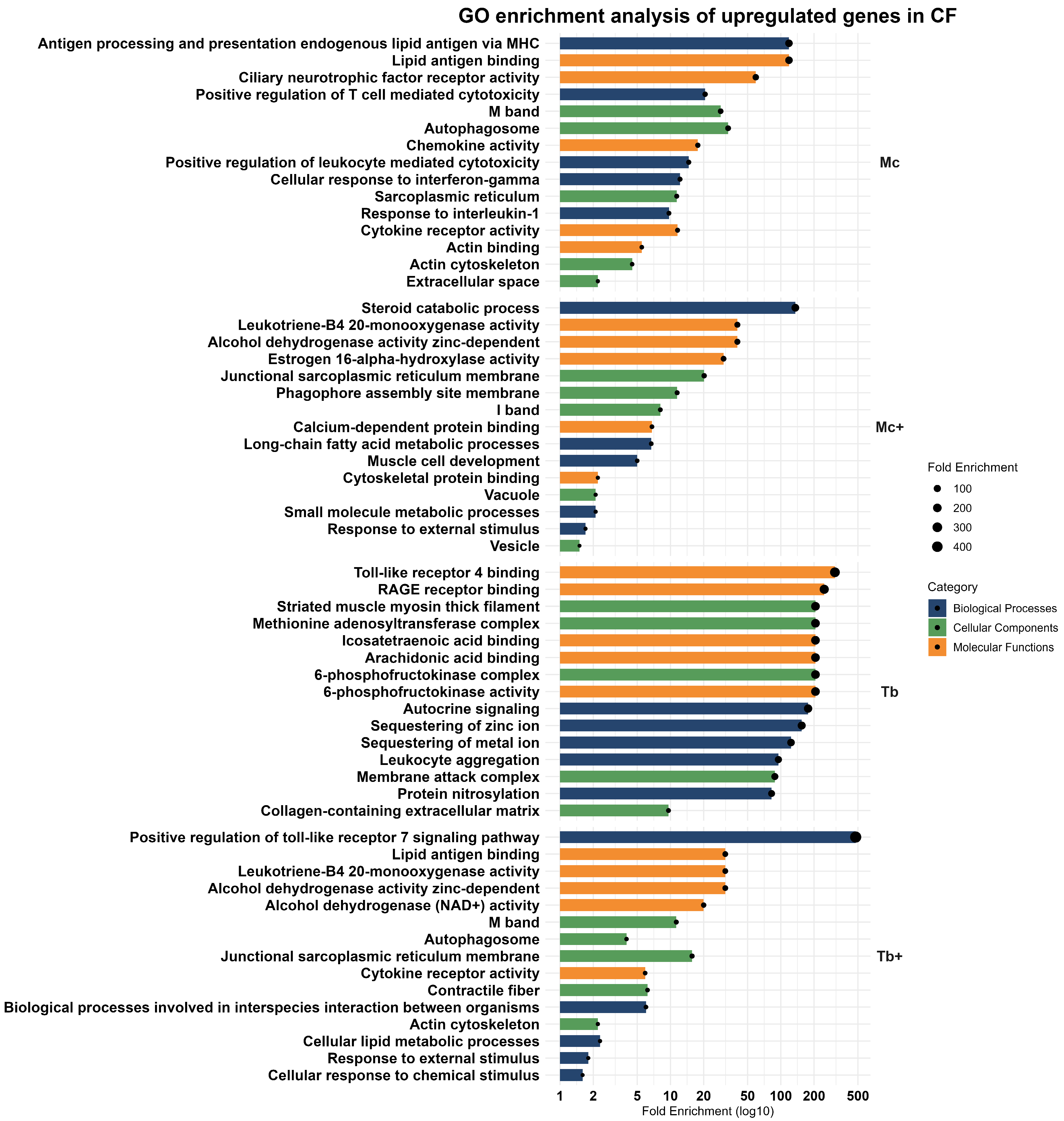Ijms 26 08148 g004 Ijms 26 08148 g004
