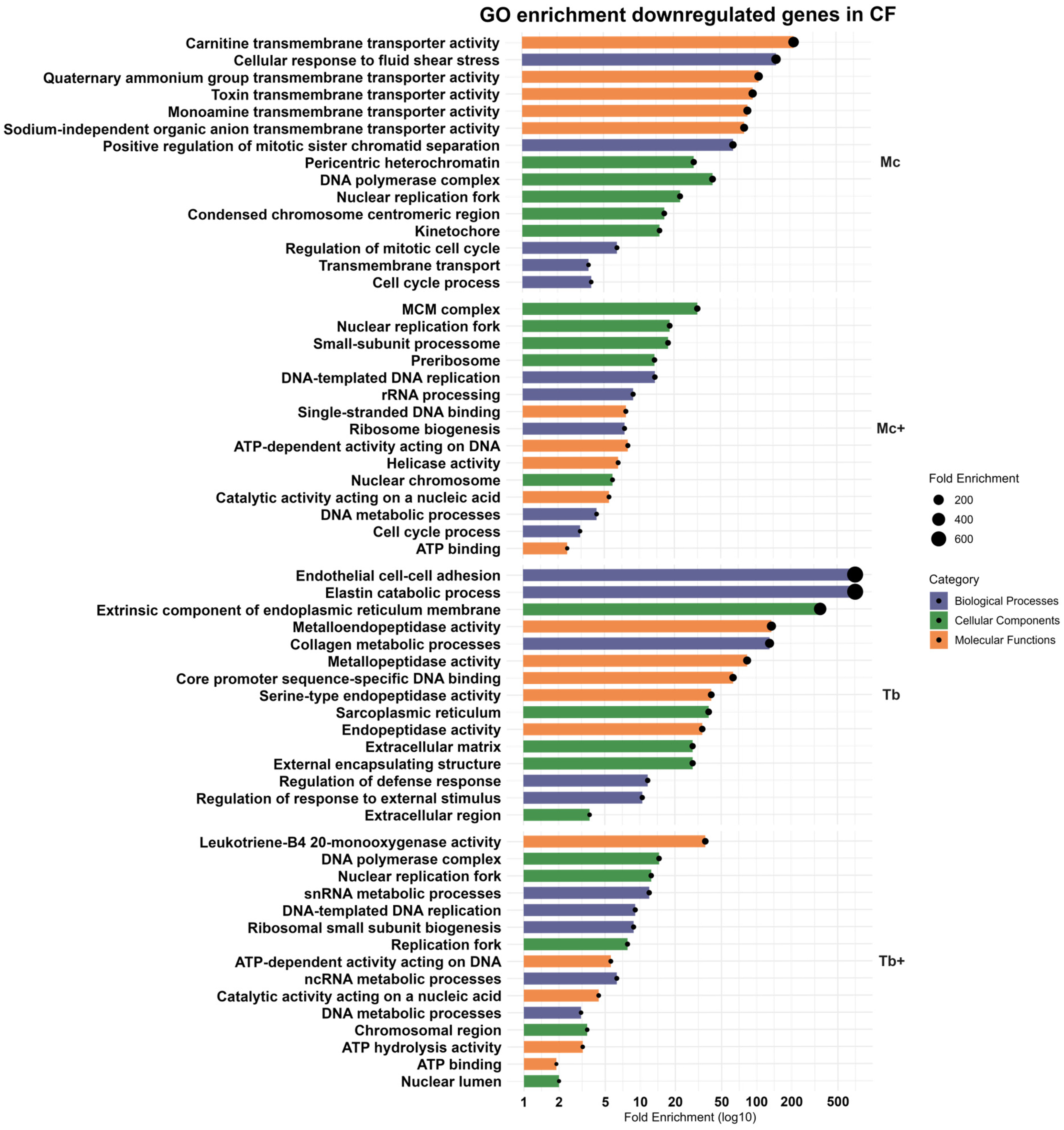 Ijms 26 08148 g005 Ijms 26 08148 g005