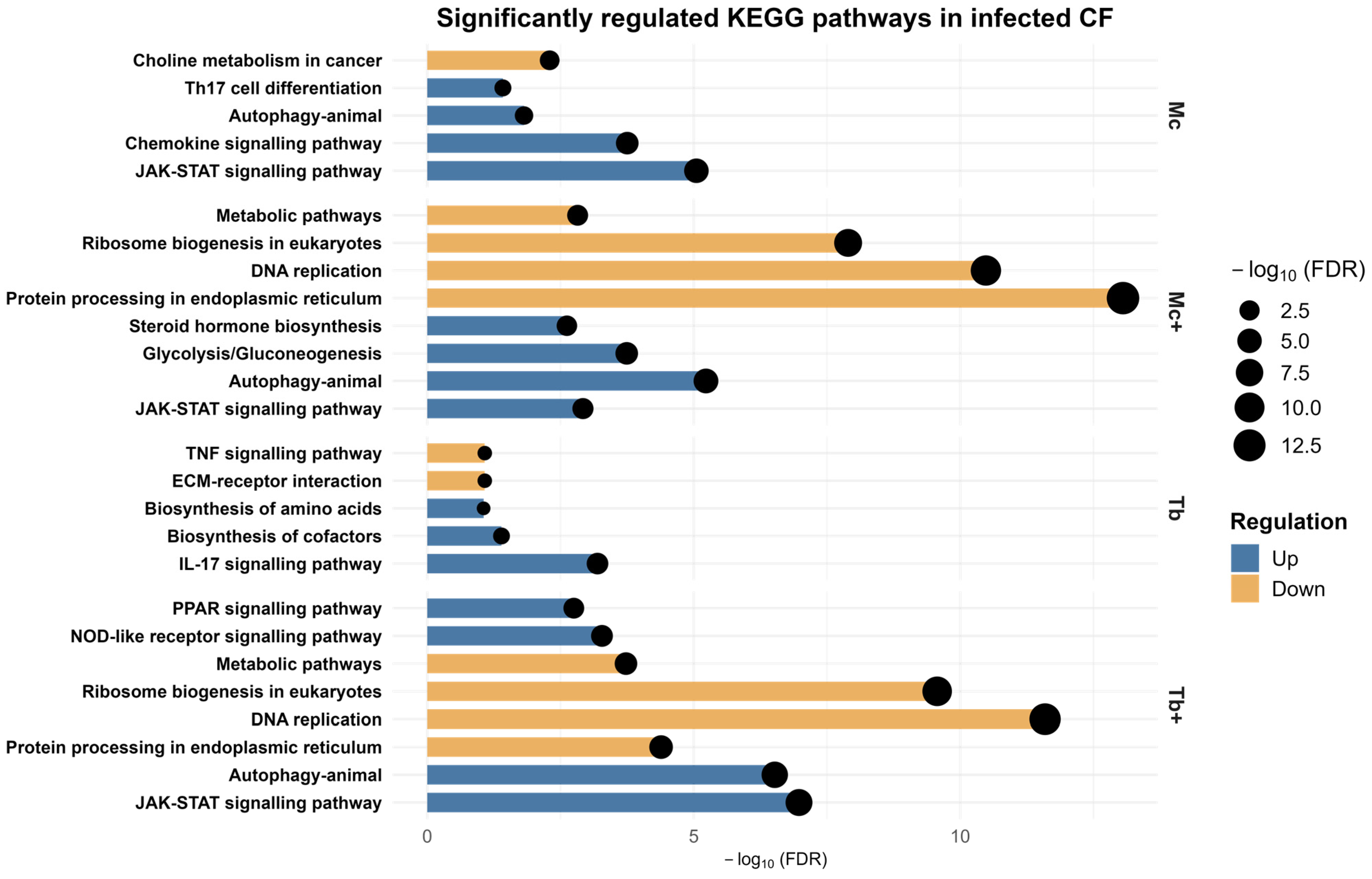 Ijms 26 08148 g006 Ijms 26 08148 g006