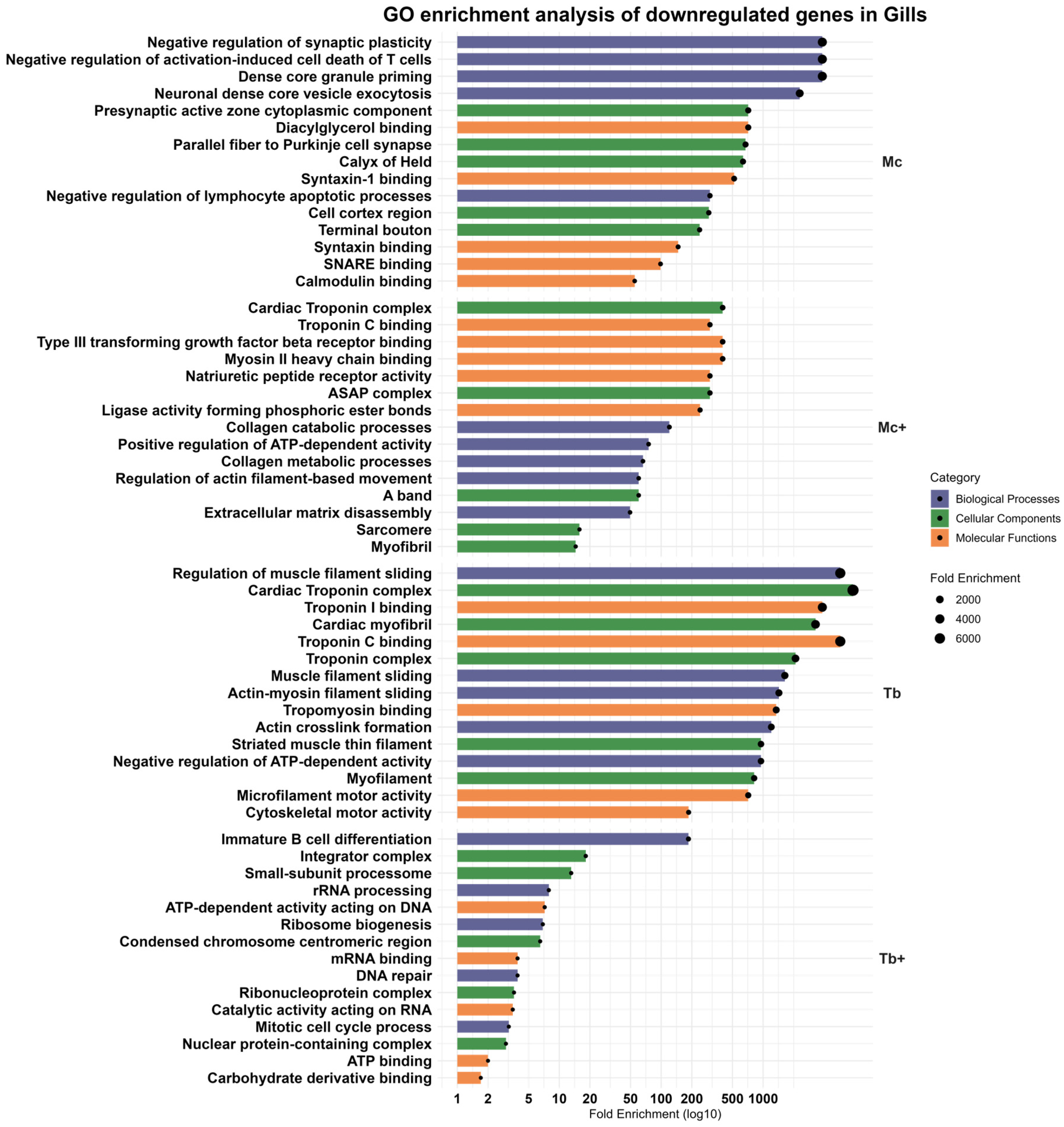 Ijms 26 08148 g008 Ijms 26 08148 g008