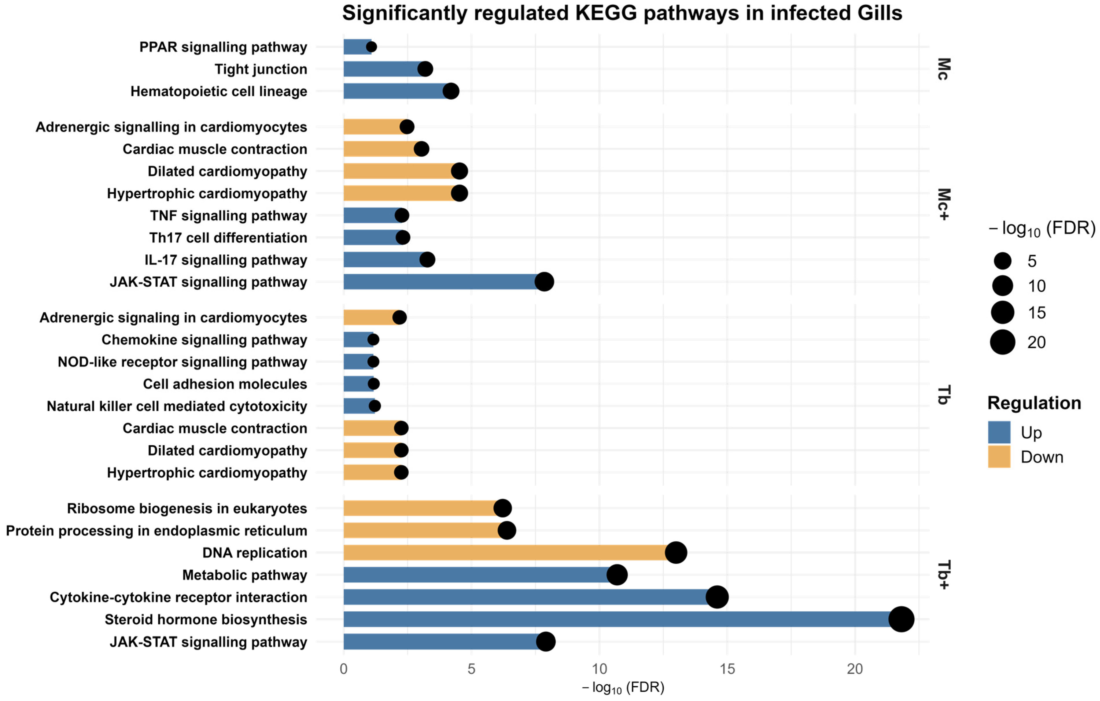 Ijms 26 08148 g009 Ijms 26 08148 g009