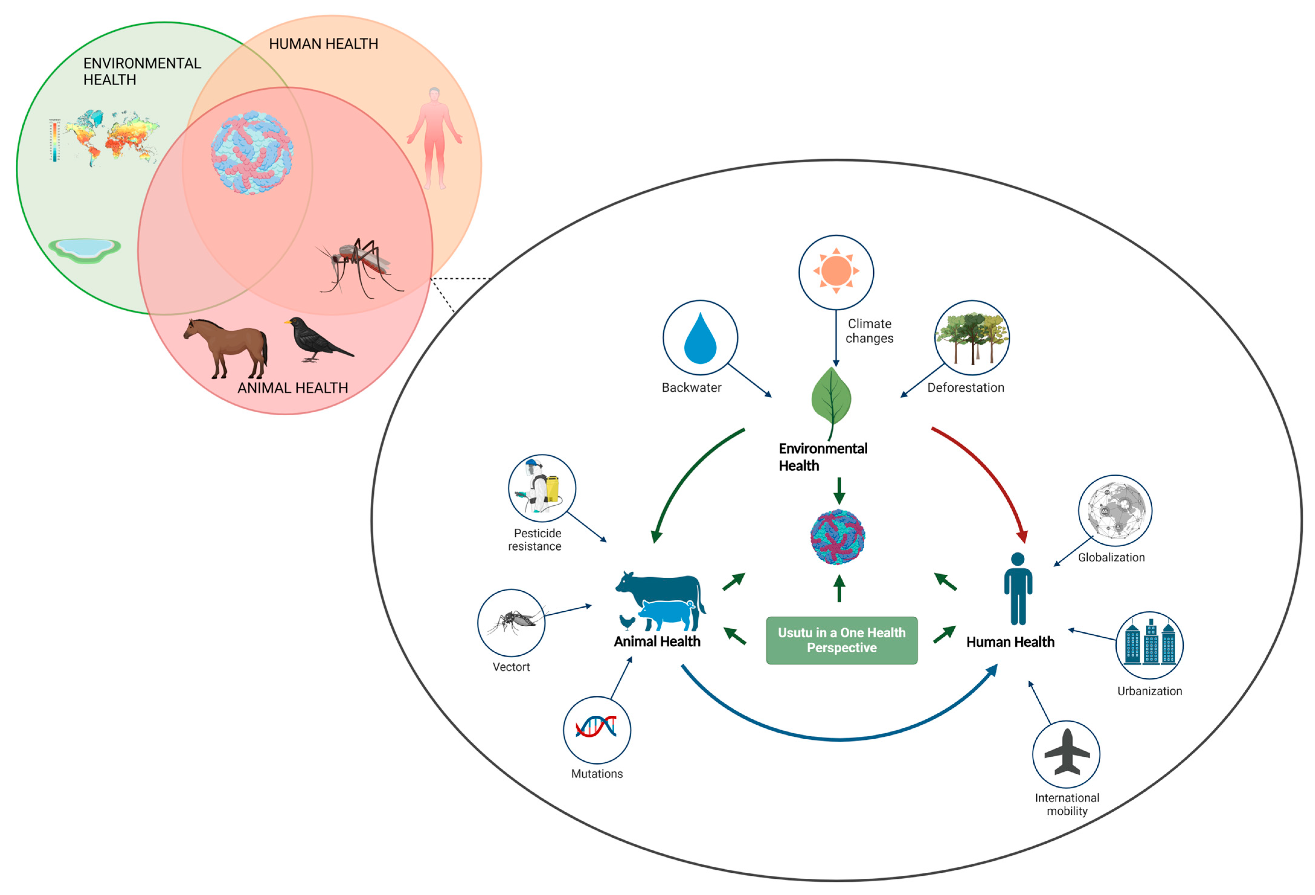 Ijms 26 08150 g002 Ijms 26 08150 g002
