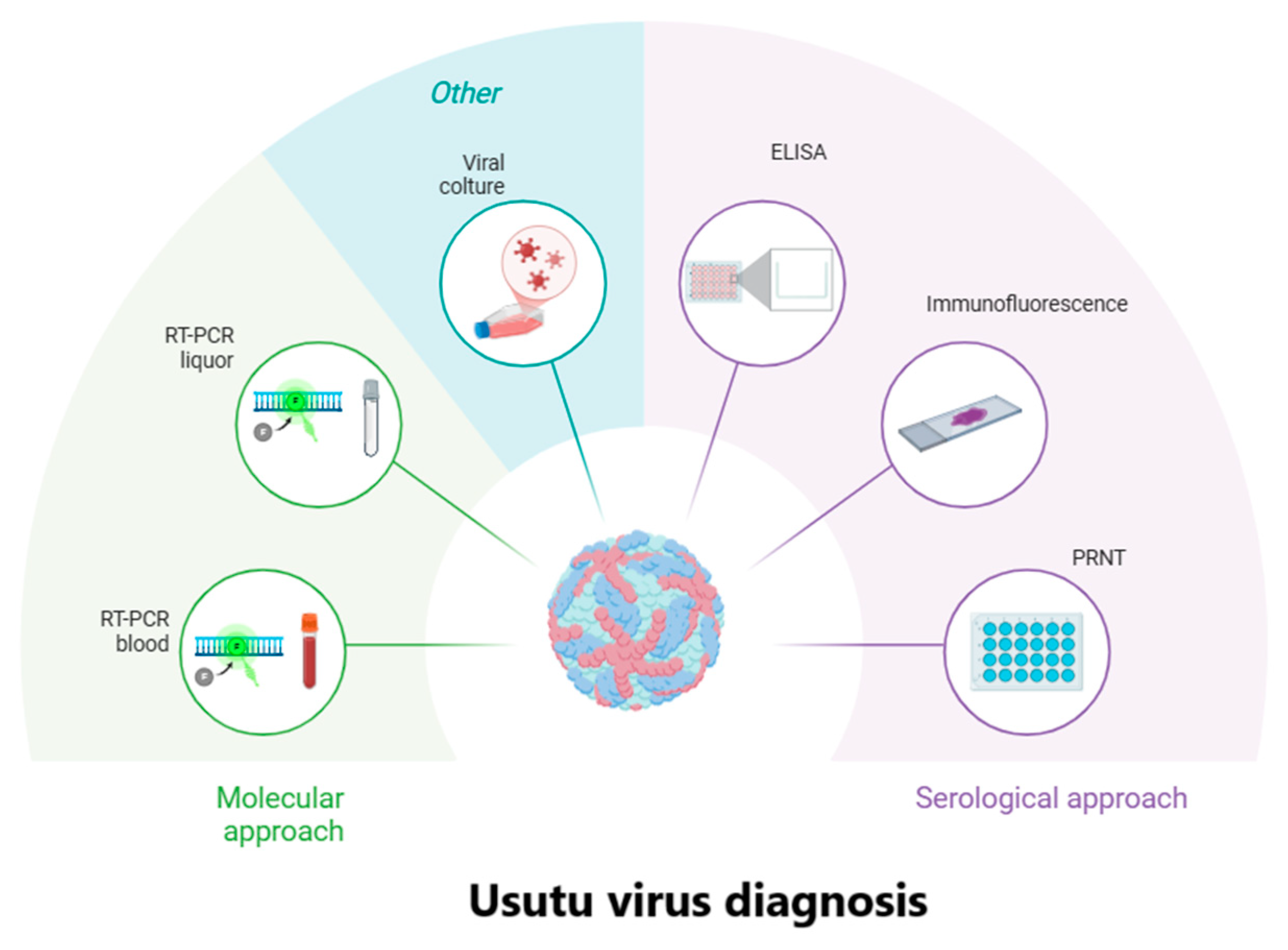 Ijms 26 08150 g005 Ijms 26 08150 g005