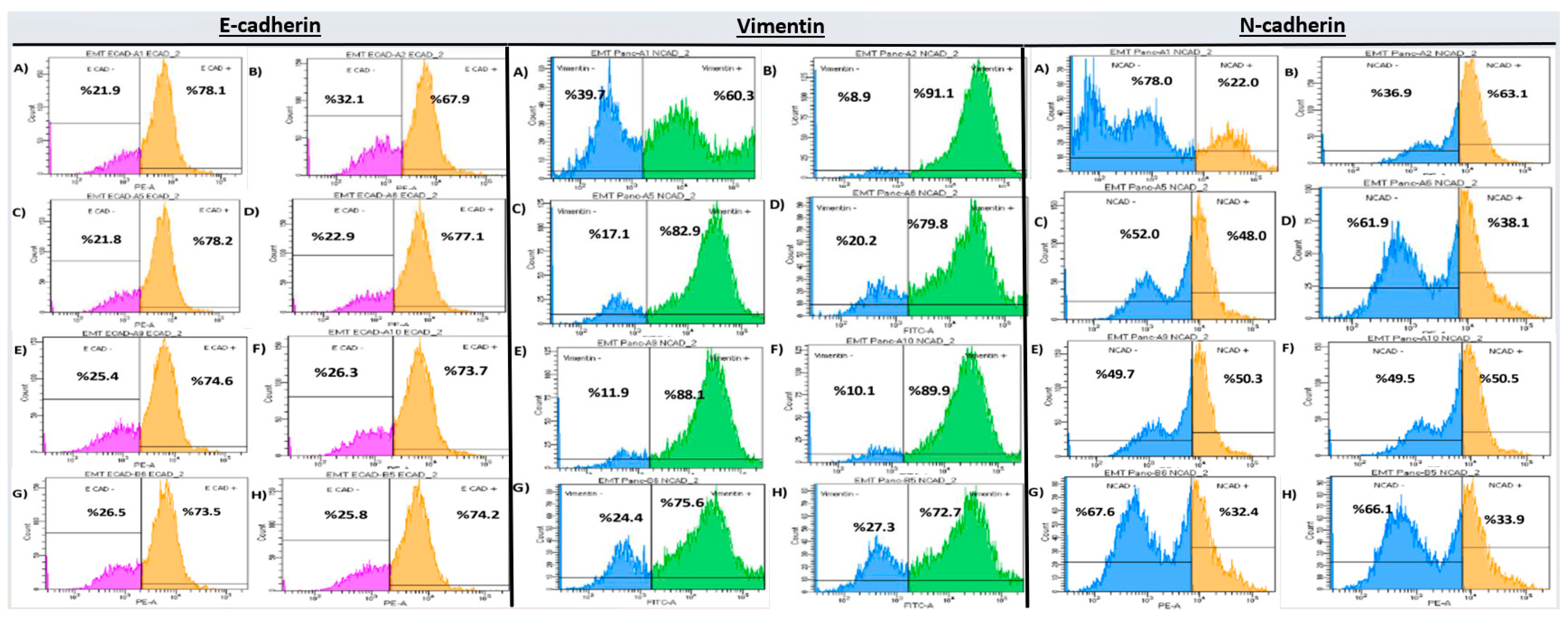 Ijms 26 08151 g004 Ijms 26 08151 g004