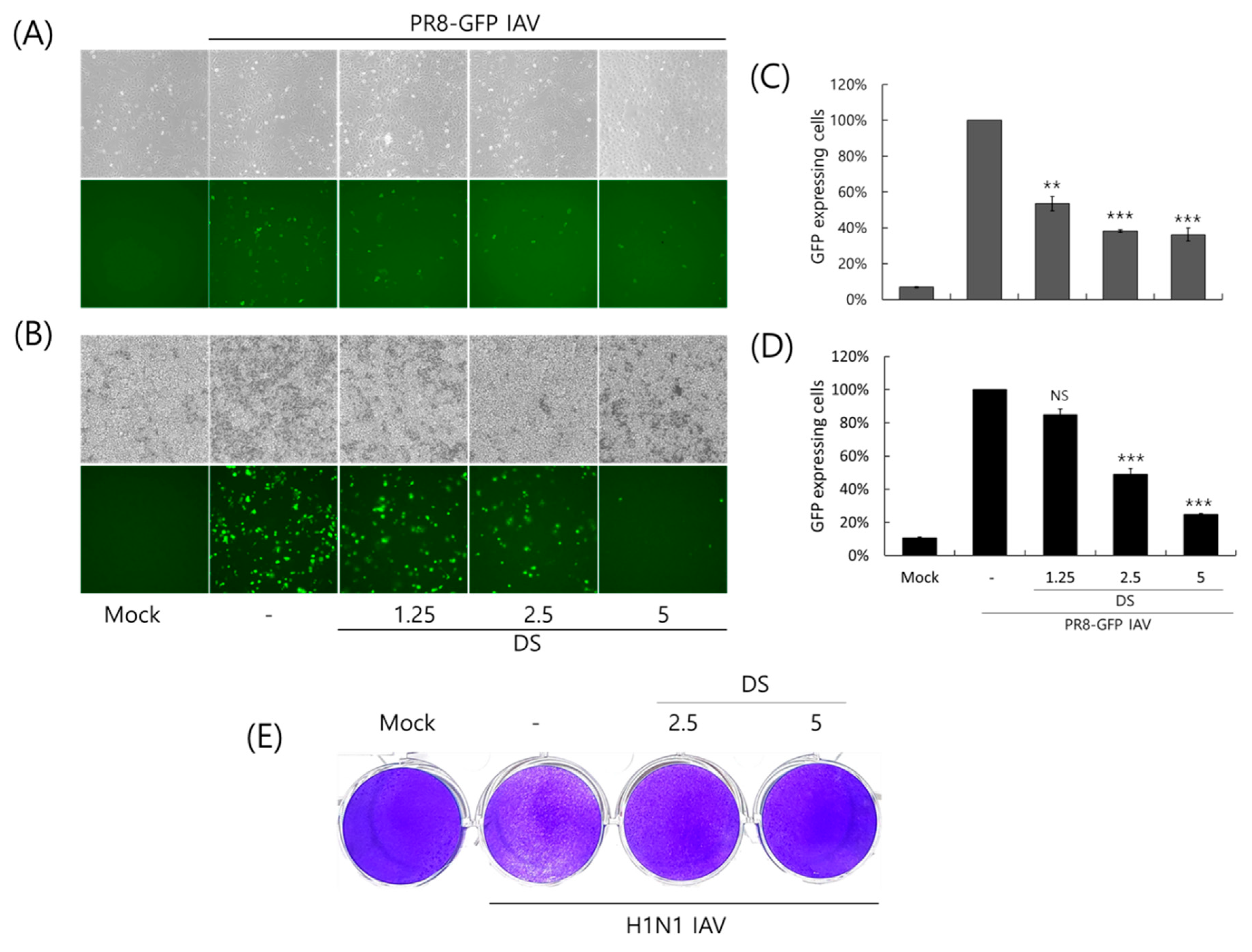 Ijms 26 08158 g002 Ijms 26 08158 g002