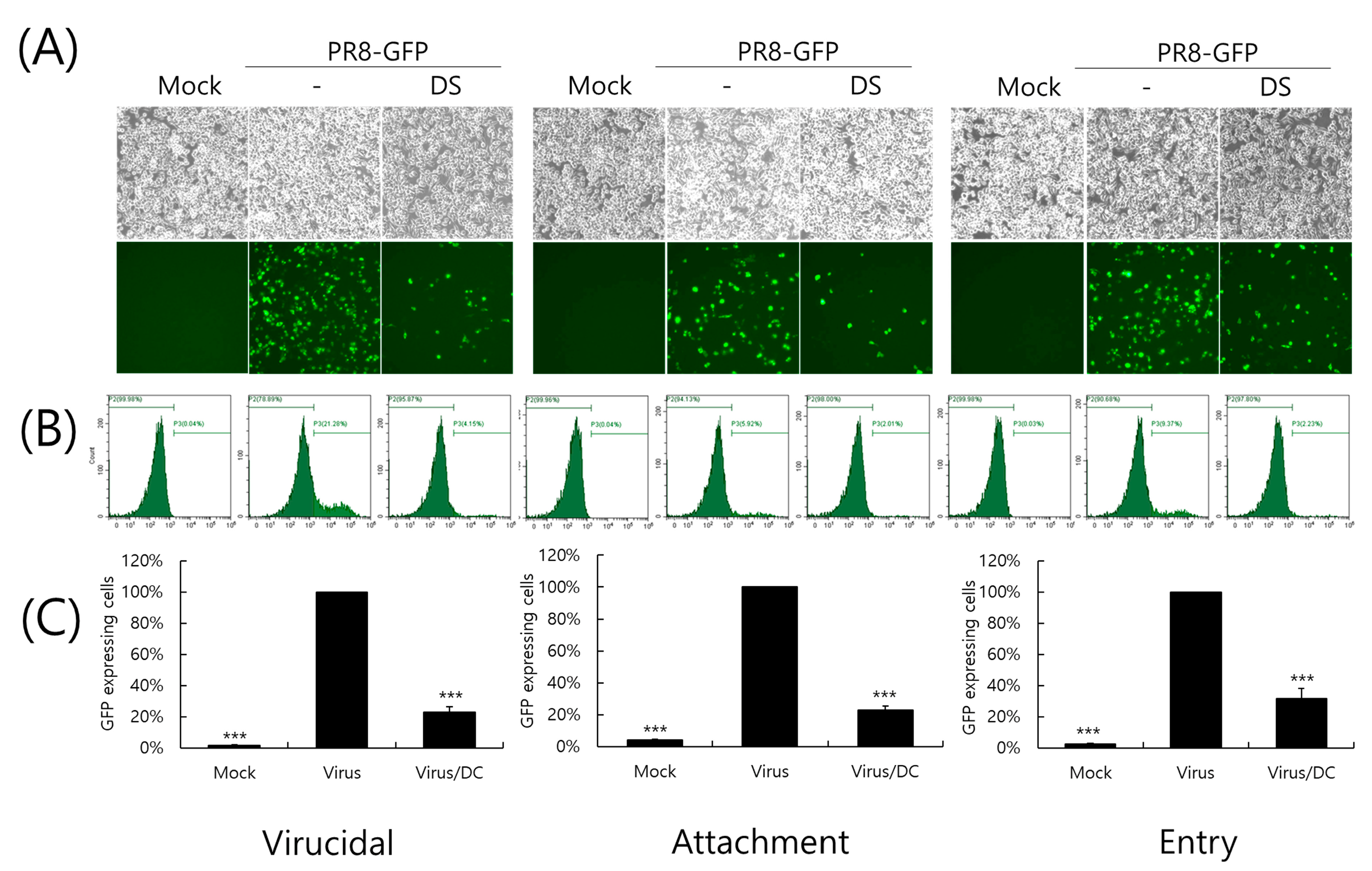 Ijms 26 08158 g004 Ijms 26 08158 g004