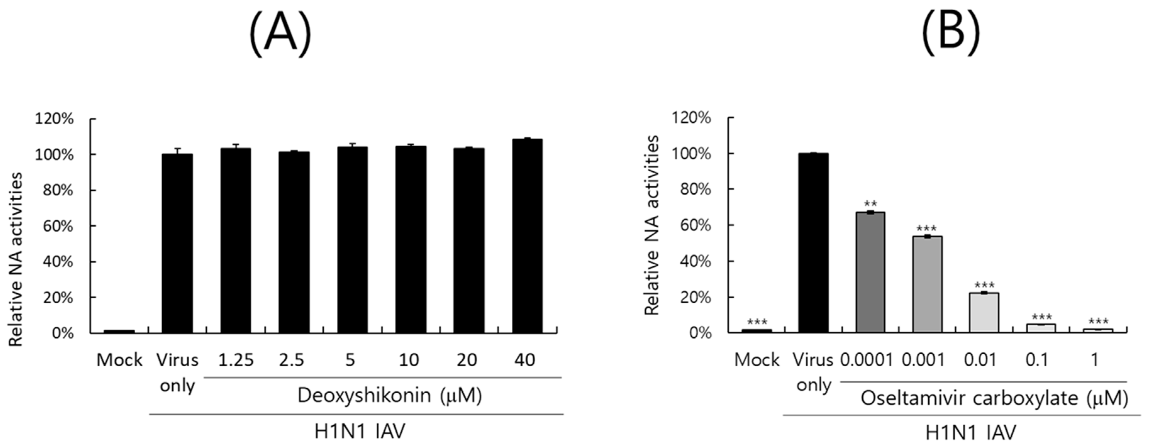 Ijms 26 08158 g006 Ijms 26 08158 g006