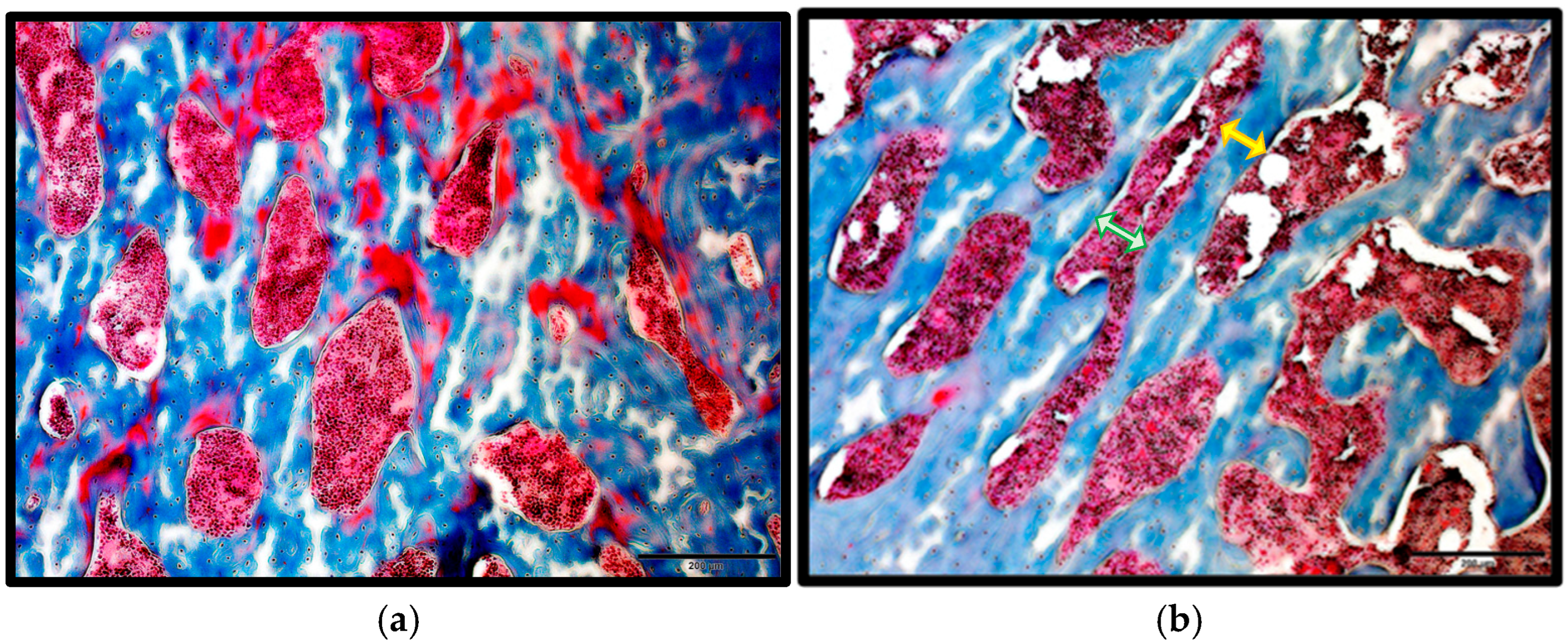 Ijms 26 08159 g001a Ijms 26 08159 g001a