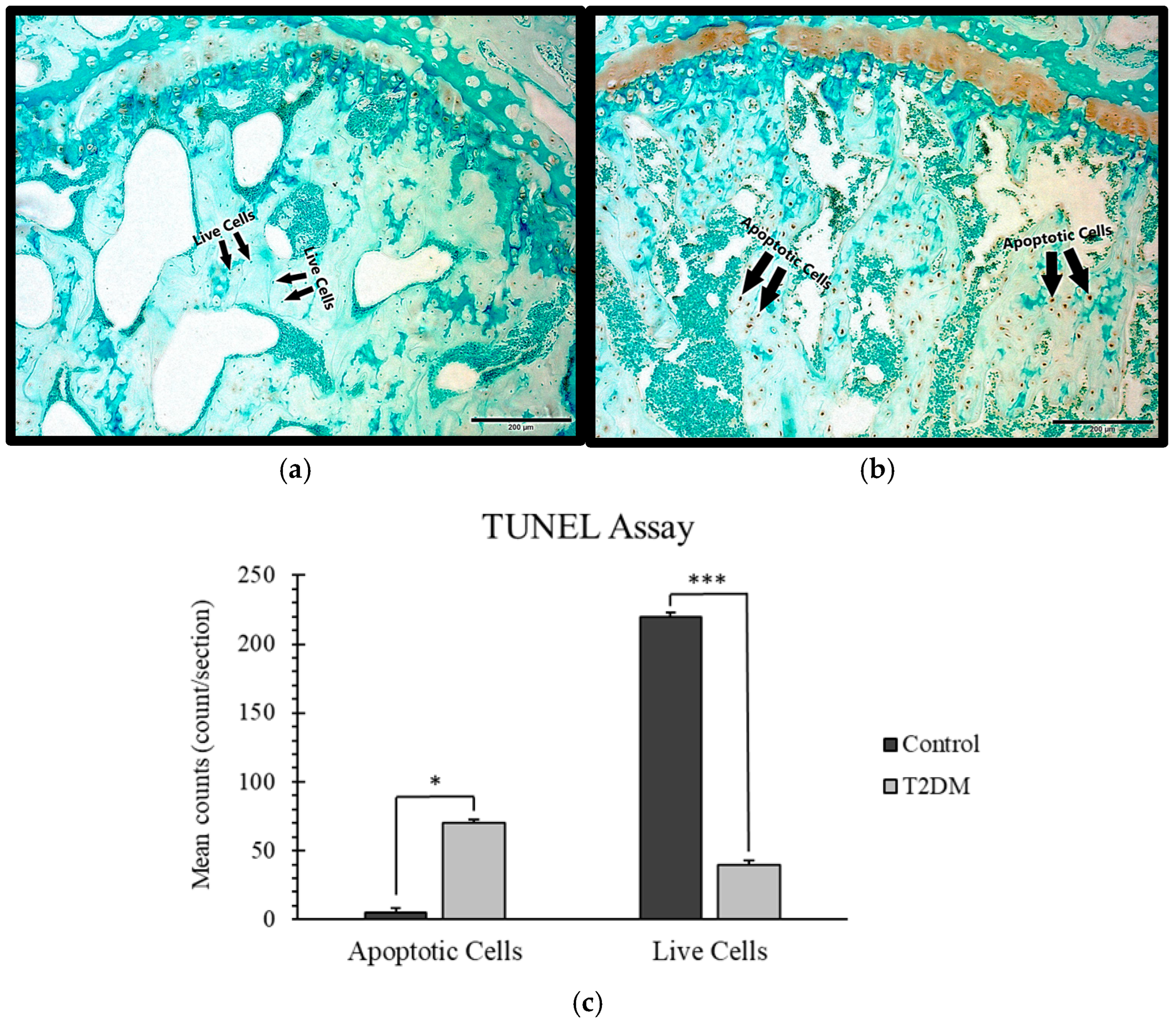 Ijms 26 08159 g002 Ijms 26 08159 g002