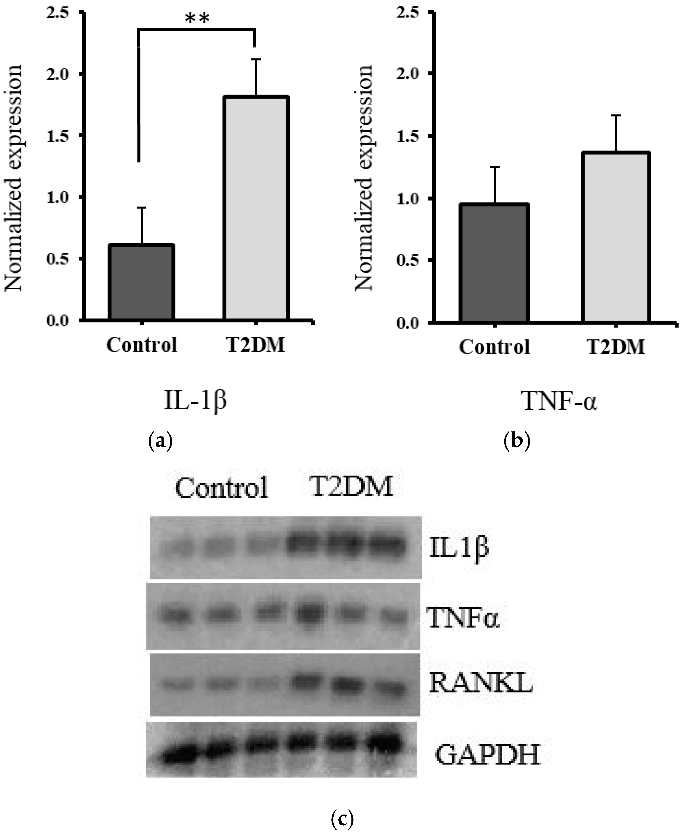 Ijms 26 08159 g003 Ijms 26 08159 g003