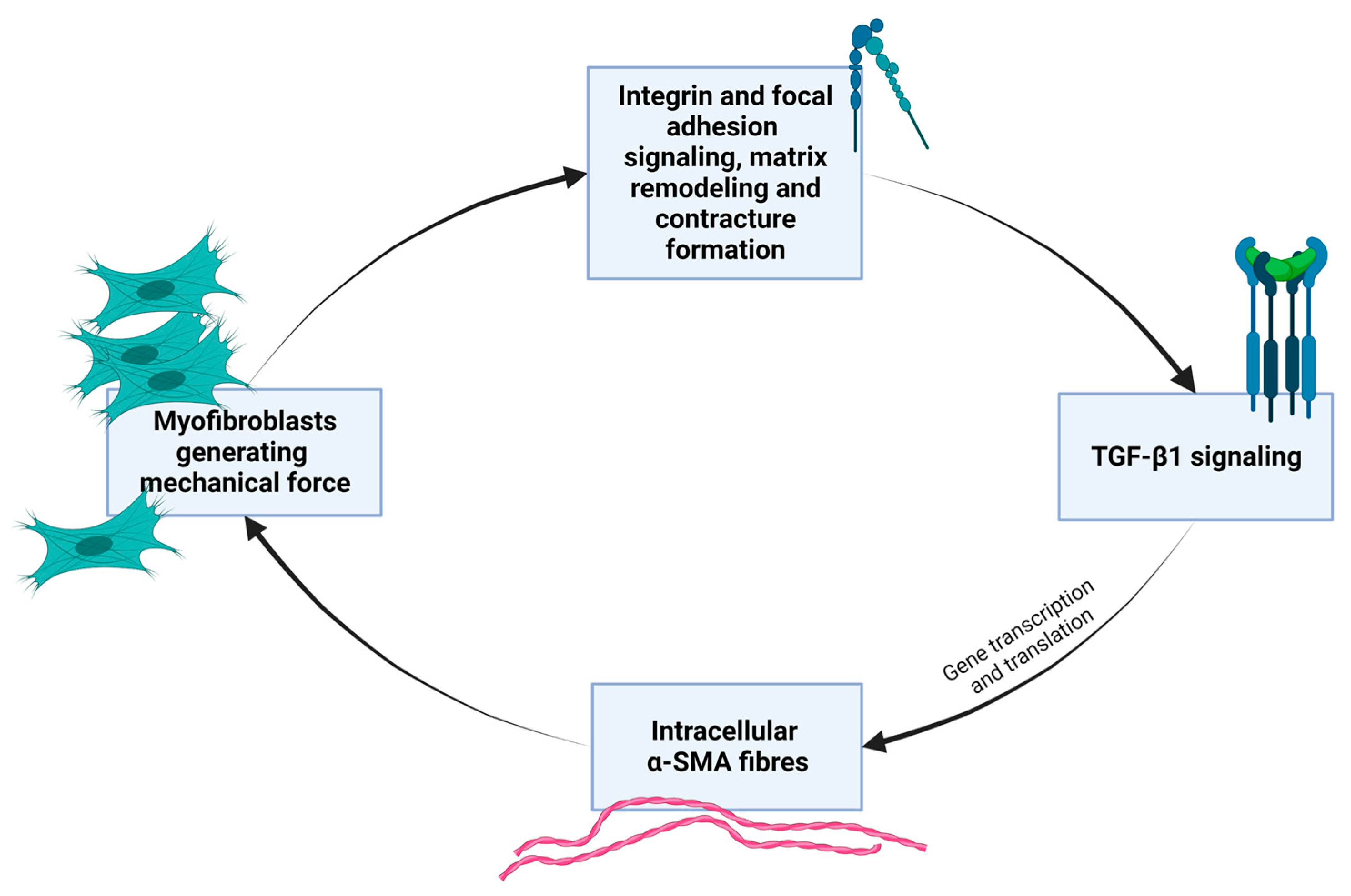 Ijms 26 08161 g003 Ijms 26 08161 g003