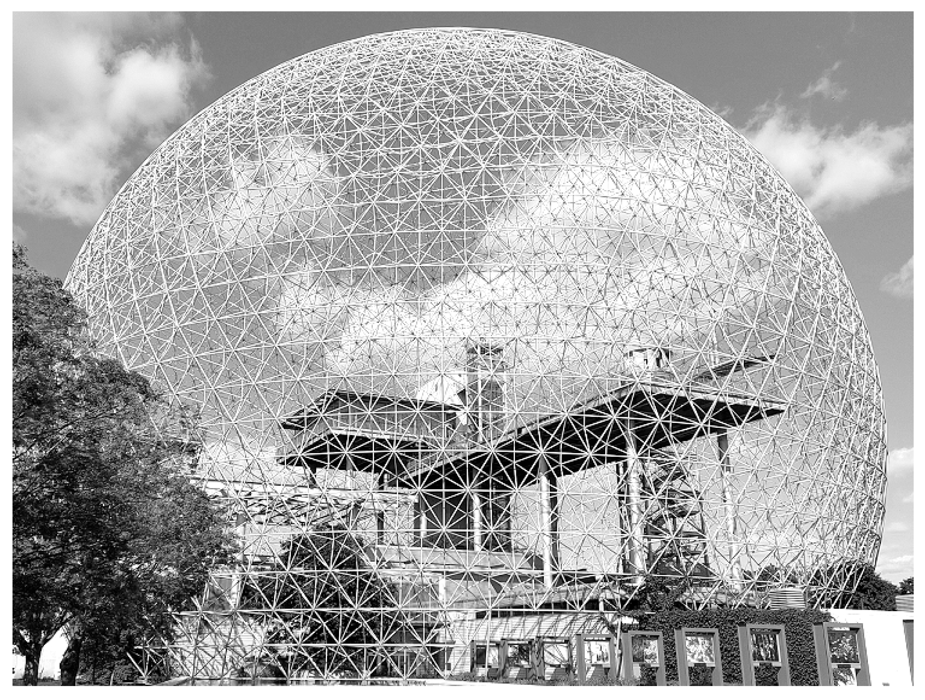 Ijms 26 08161 g005 Ijms 26 08161 g005