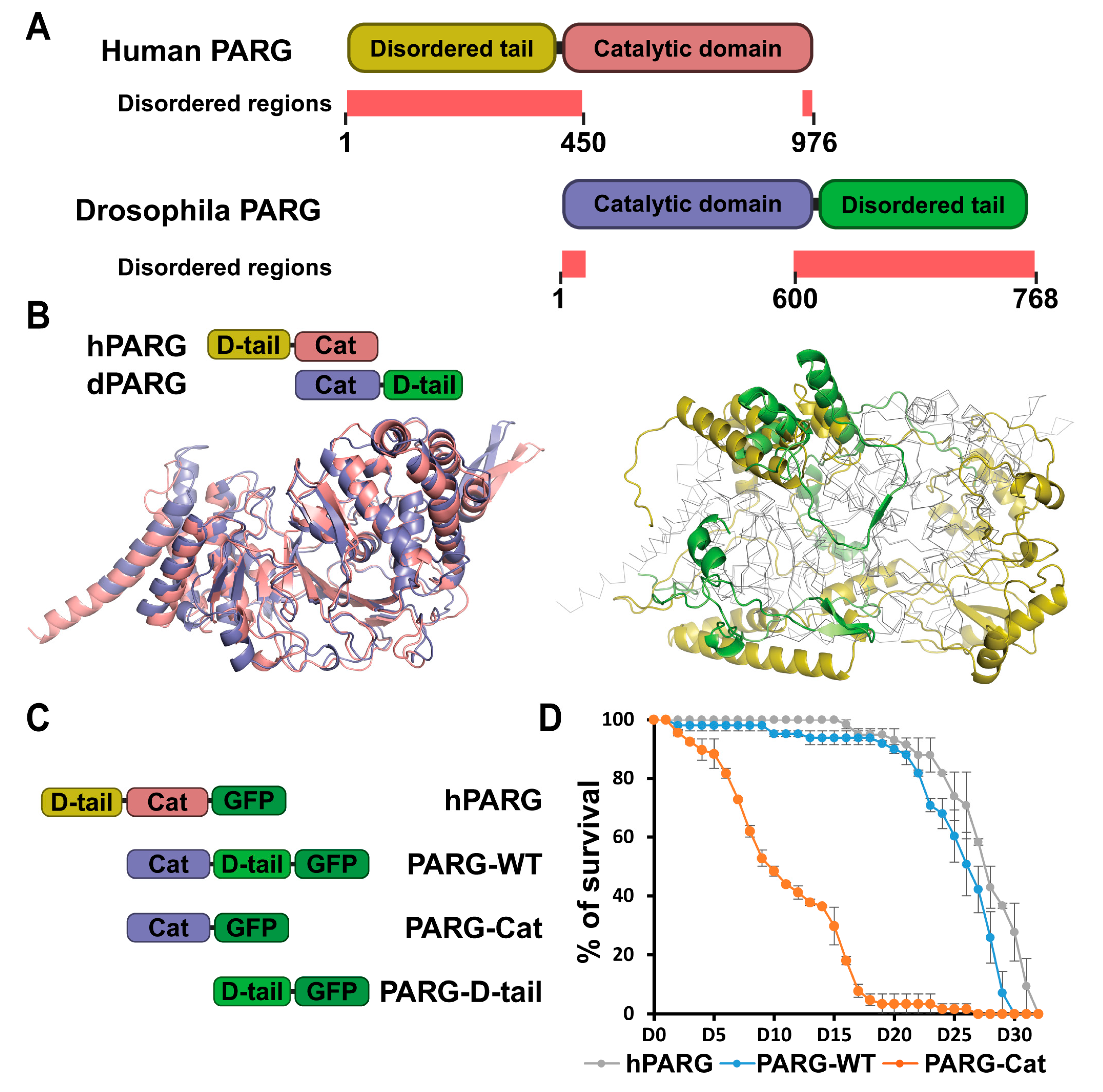 Ijms 26 08166 g001 Ijms 26 08166 g001