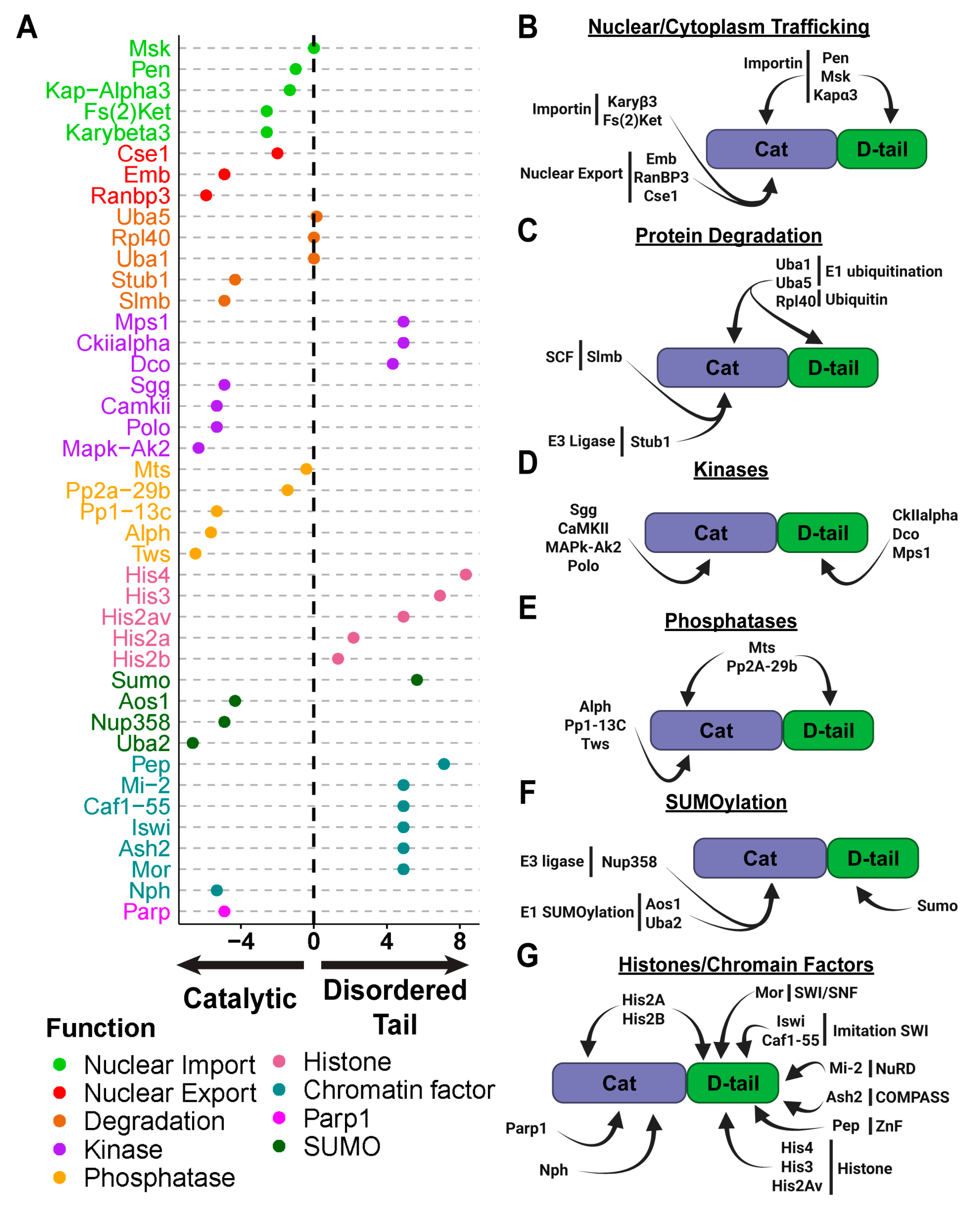 Ijms 26 08166 g003 Ijms 26 08166 g003