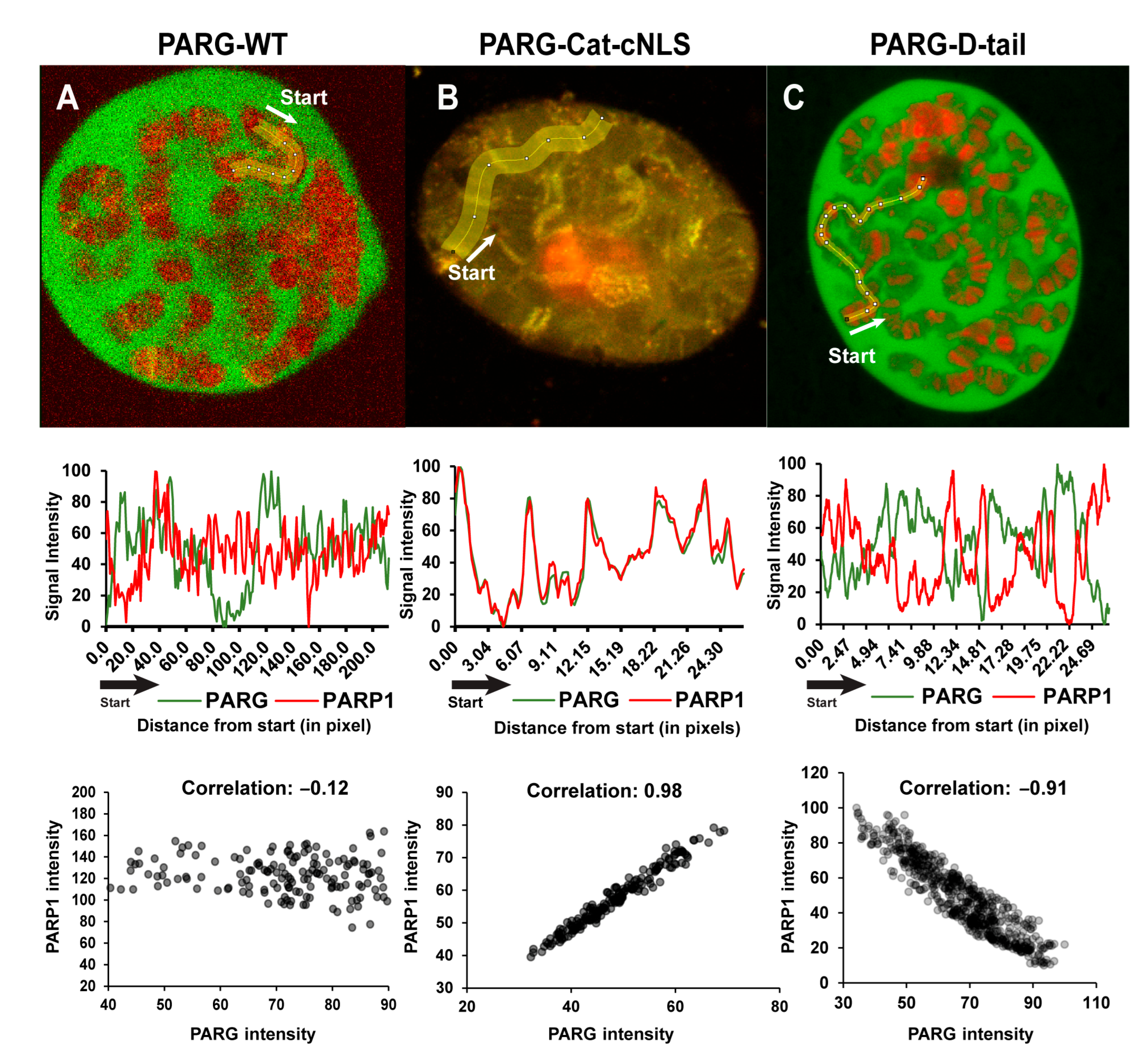 Ijms 26 08166 g005 Ijms 26 08166 g005