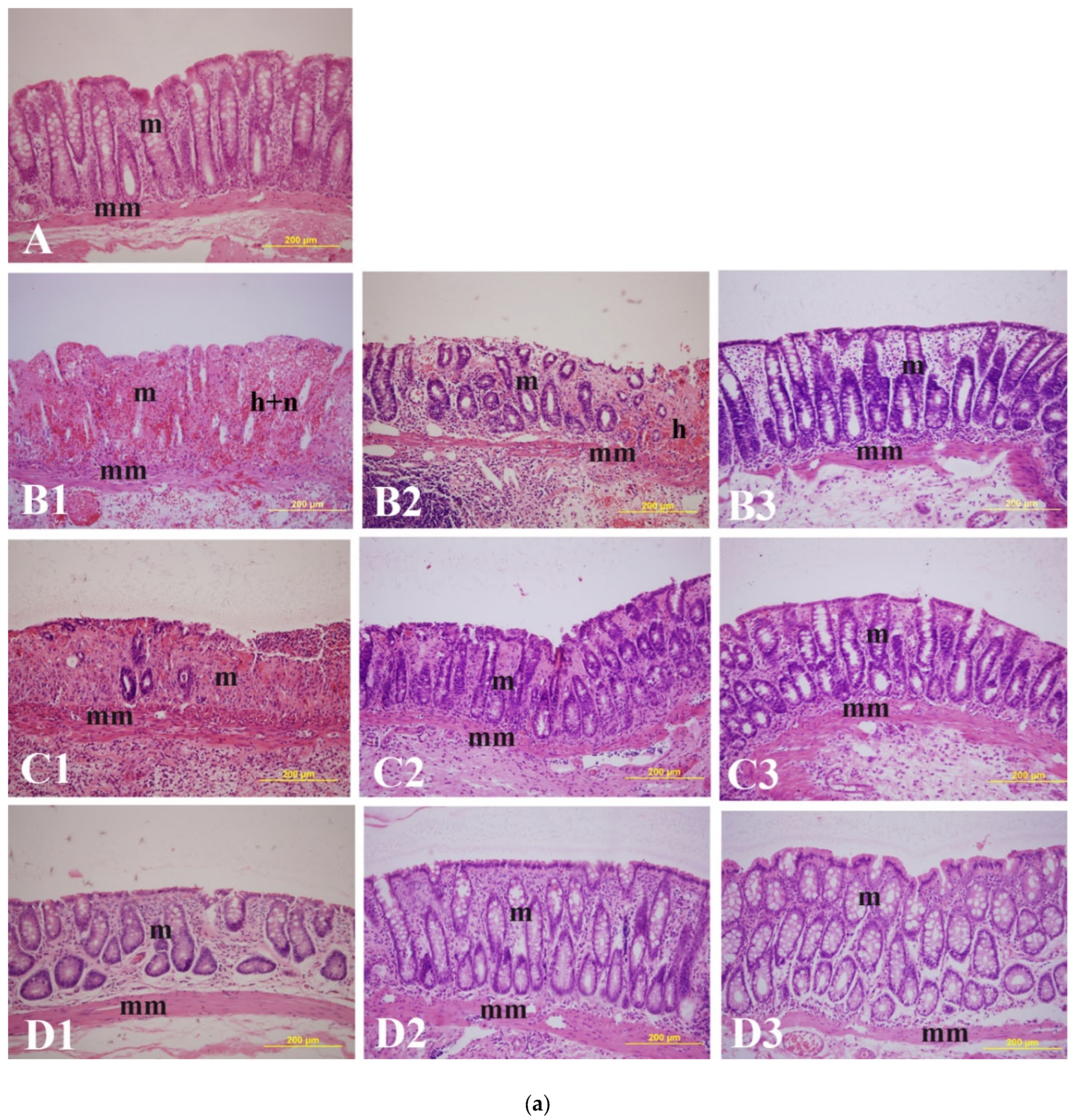 Ijms 26 08168 g002a Ijms 26 08168 g002a