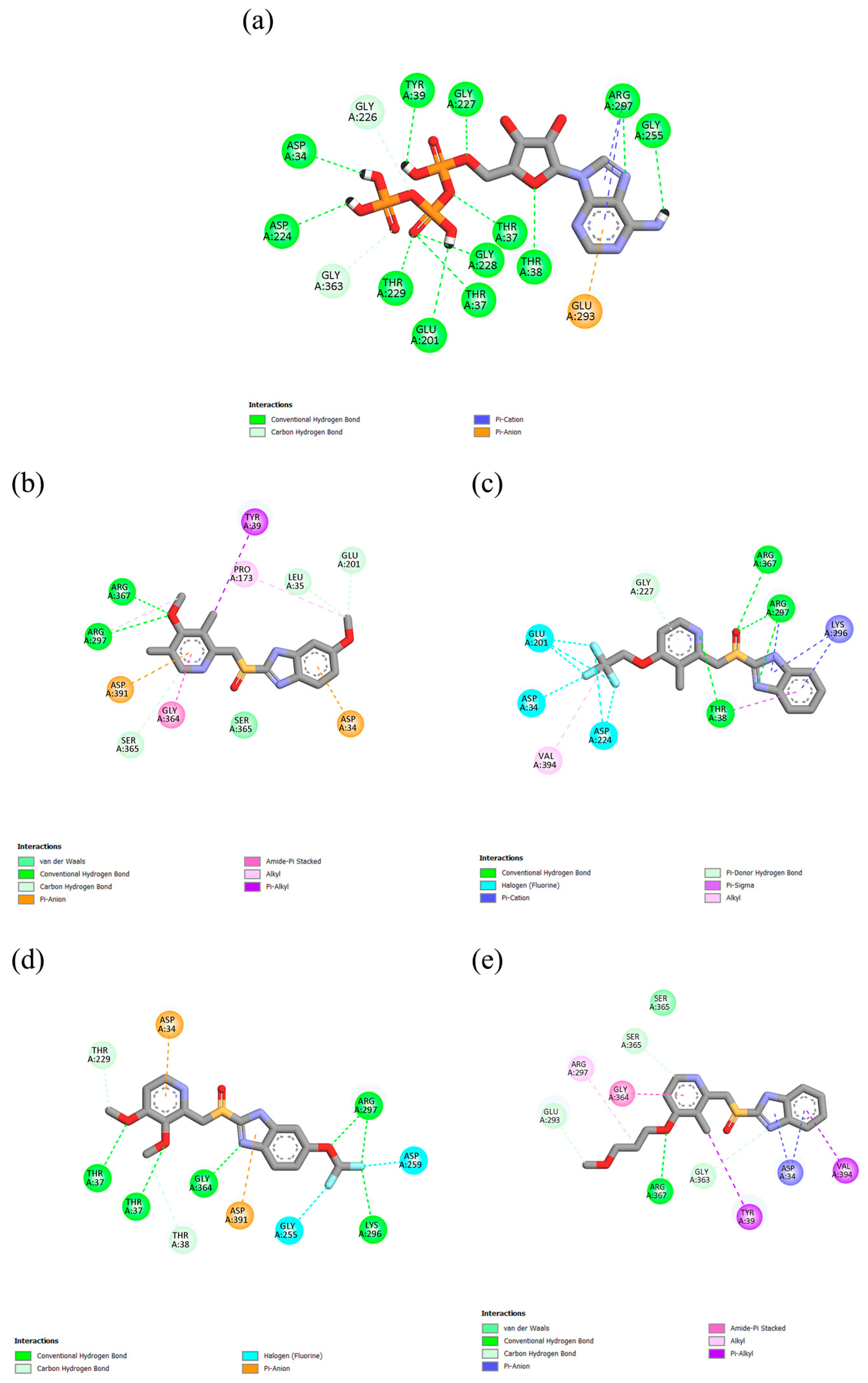 Ijms 26 08170 g002 Ijms 26 08170 g002