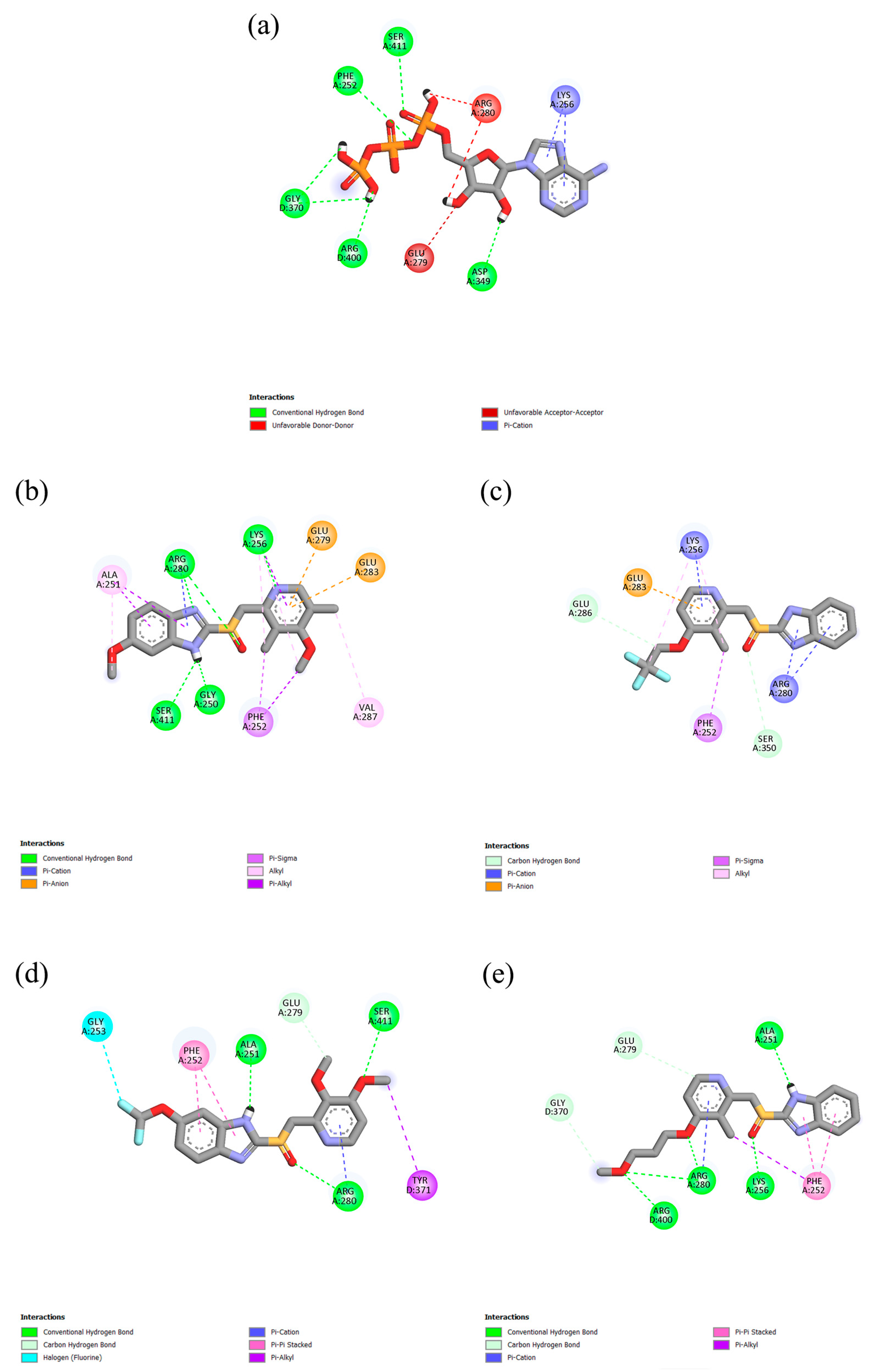 Ijms 26 08170 g003 Ijms 26 08170 g003