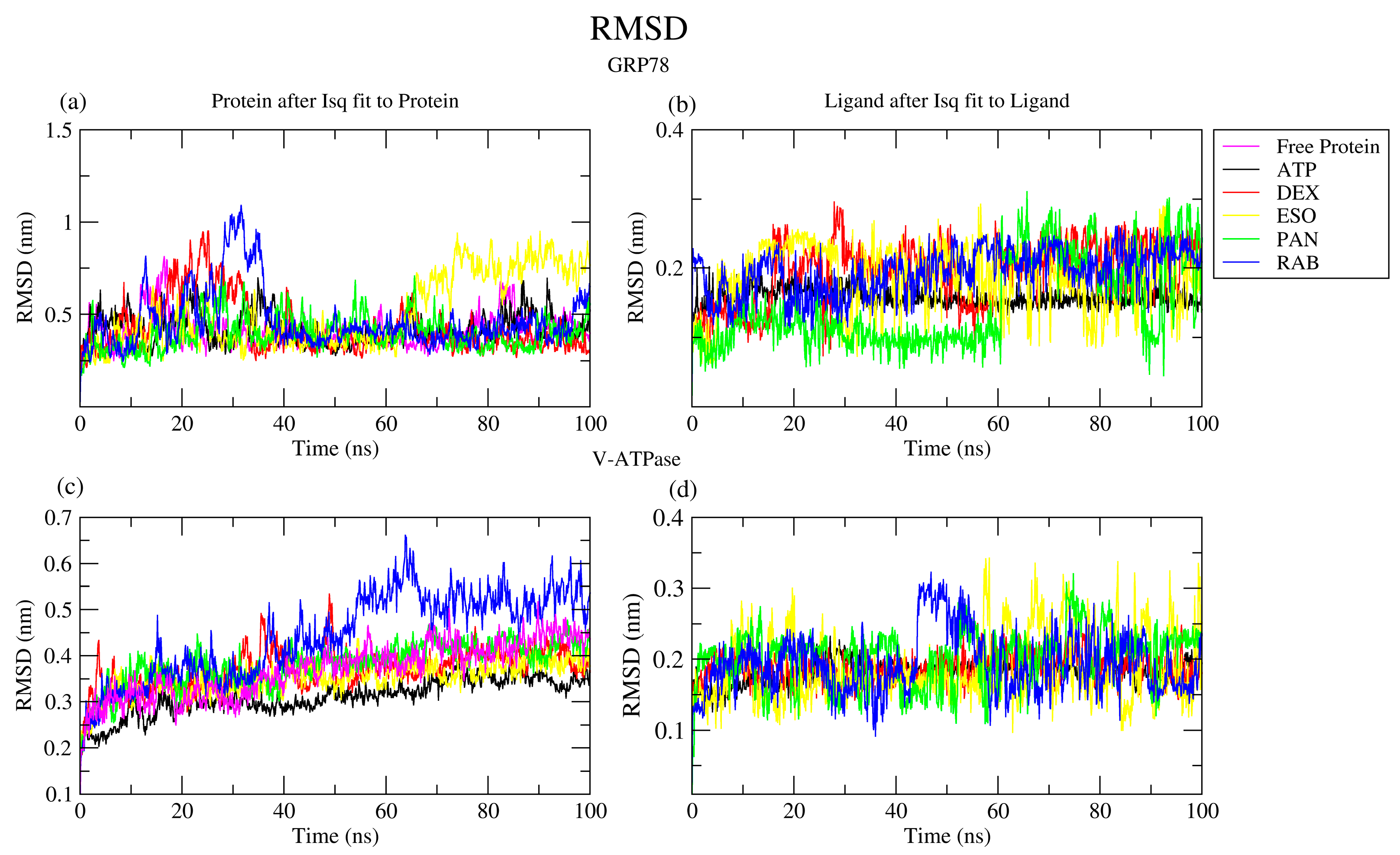 Ijms 26 08170 g004 Ijms 26 08170 g004