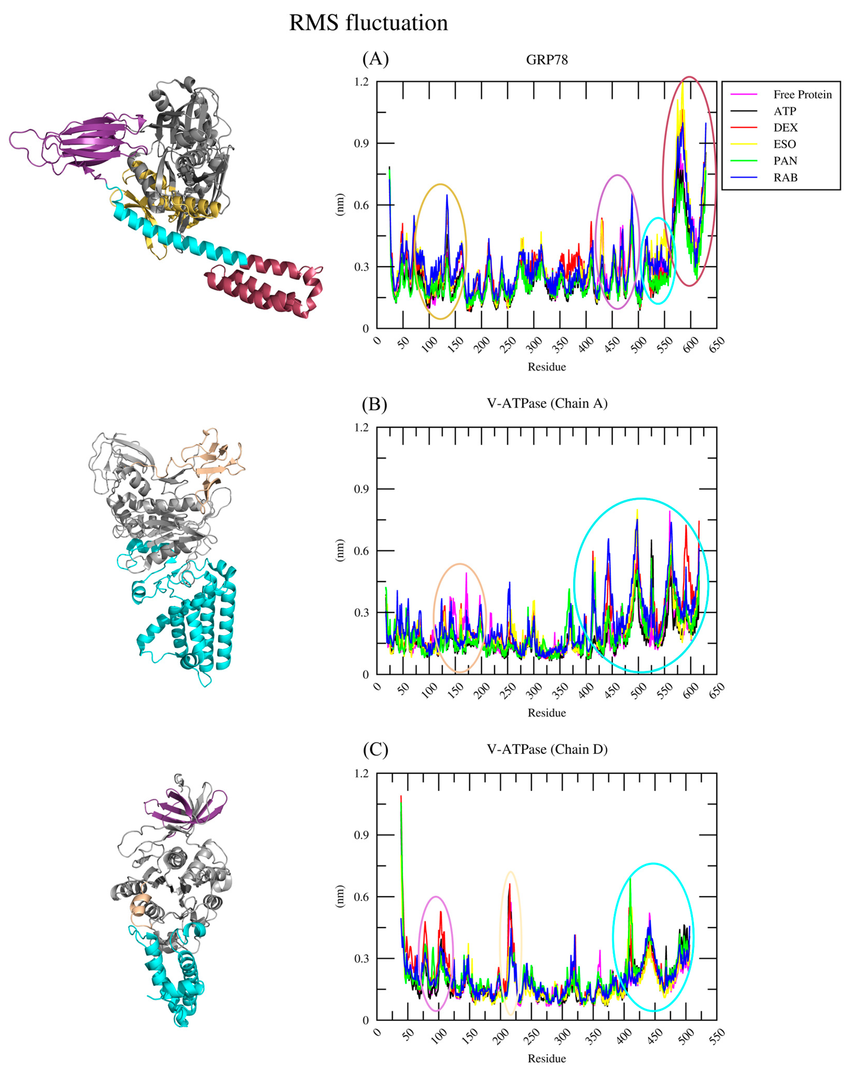 Ijms 26 08170 g005 Ijms 26 08170 g005