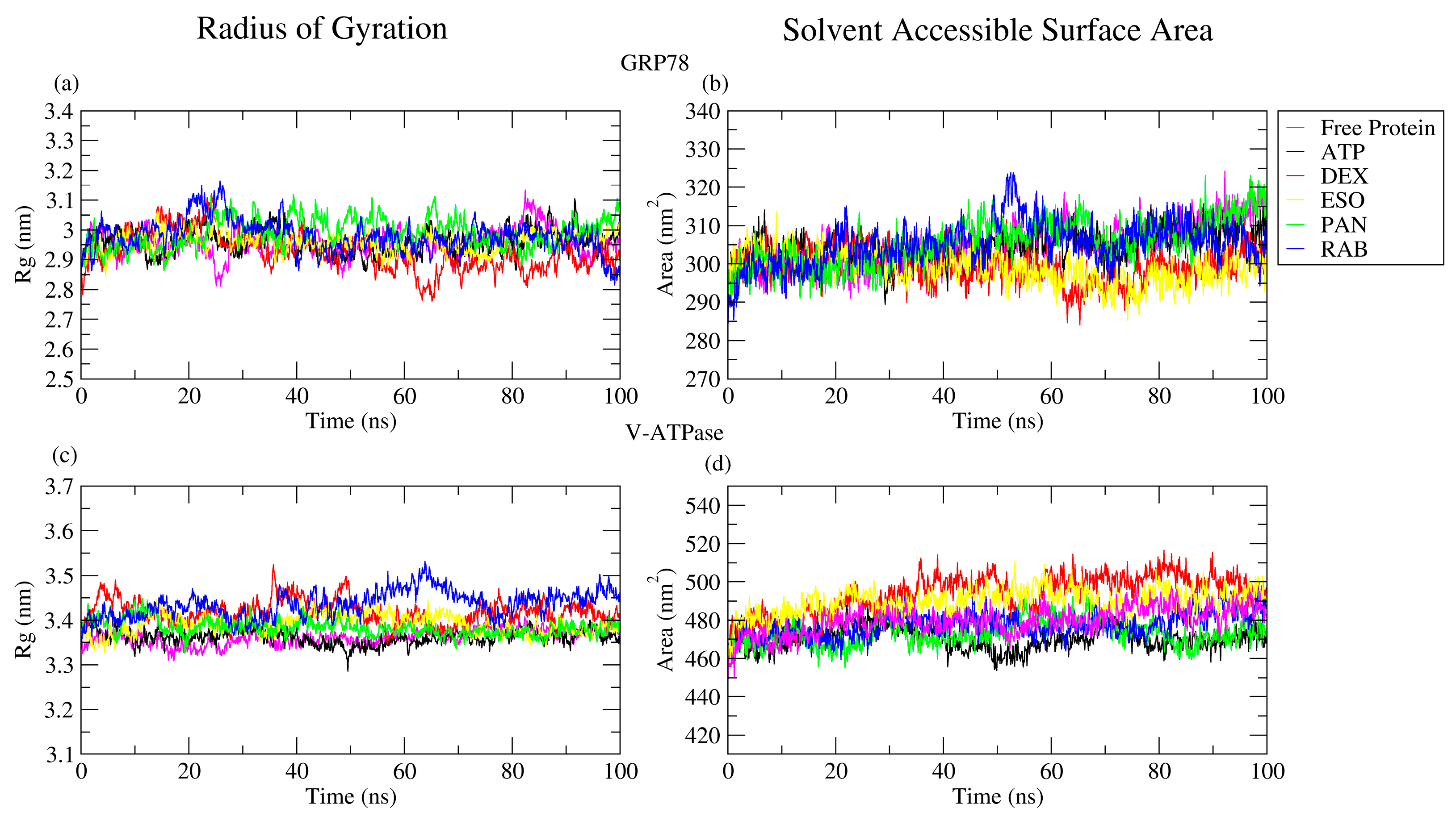 Ijms 26 08170 g006 Ijms 26 08170 g006